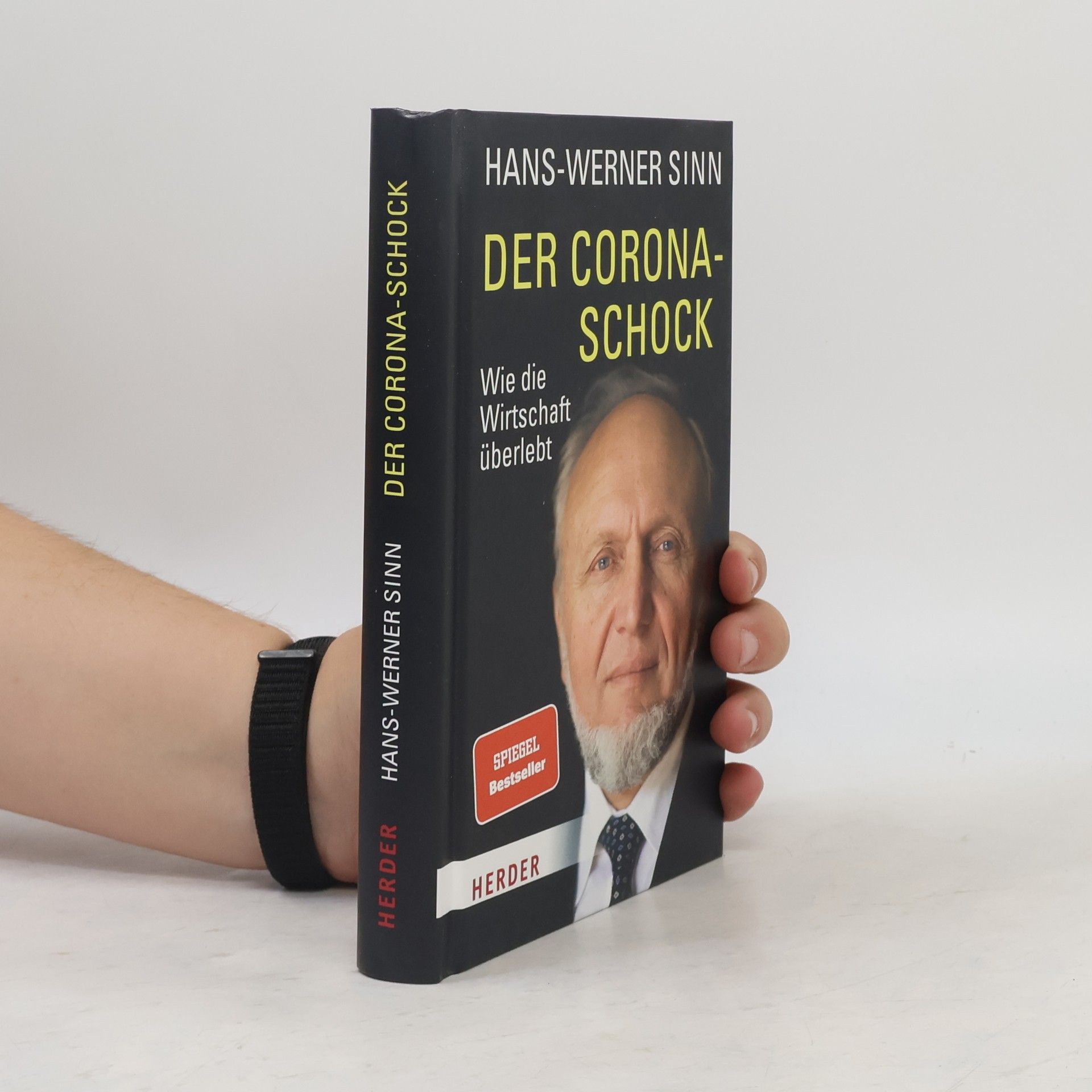 Werner Sinn Der Corona-Schock