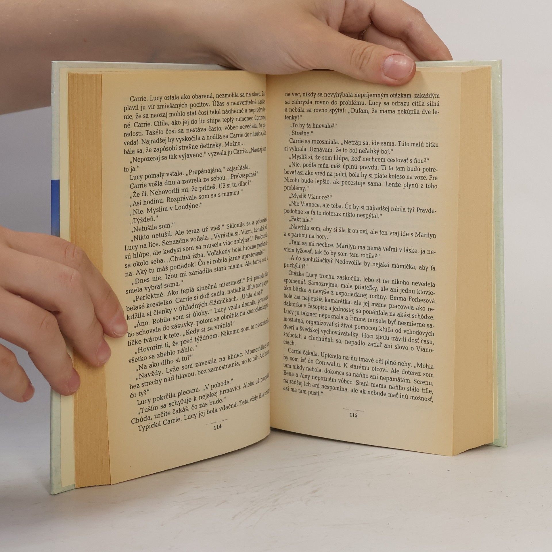 Rosamunde Pilcher Zimný slnovrat