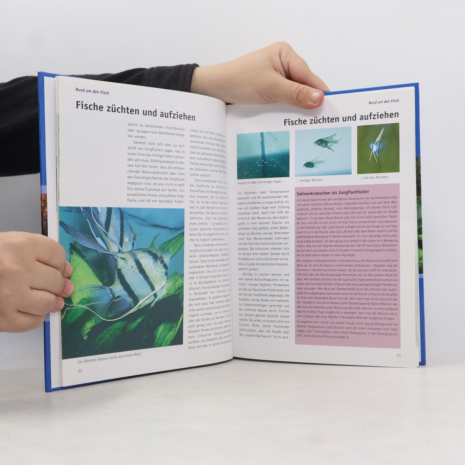 Claus Schaefer Der große Atlas Aquarienfische