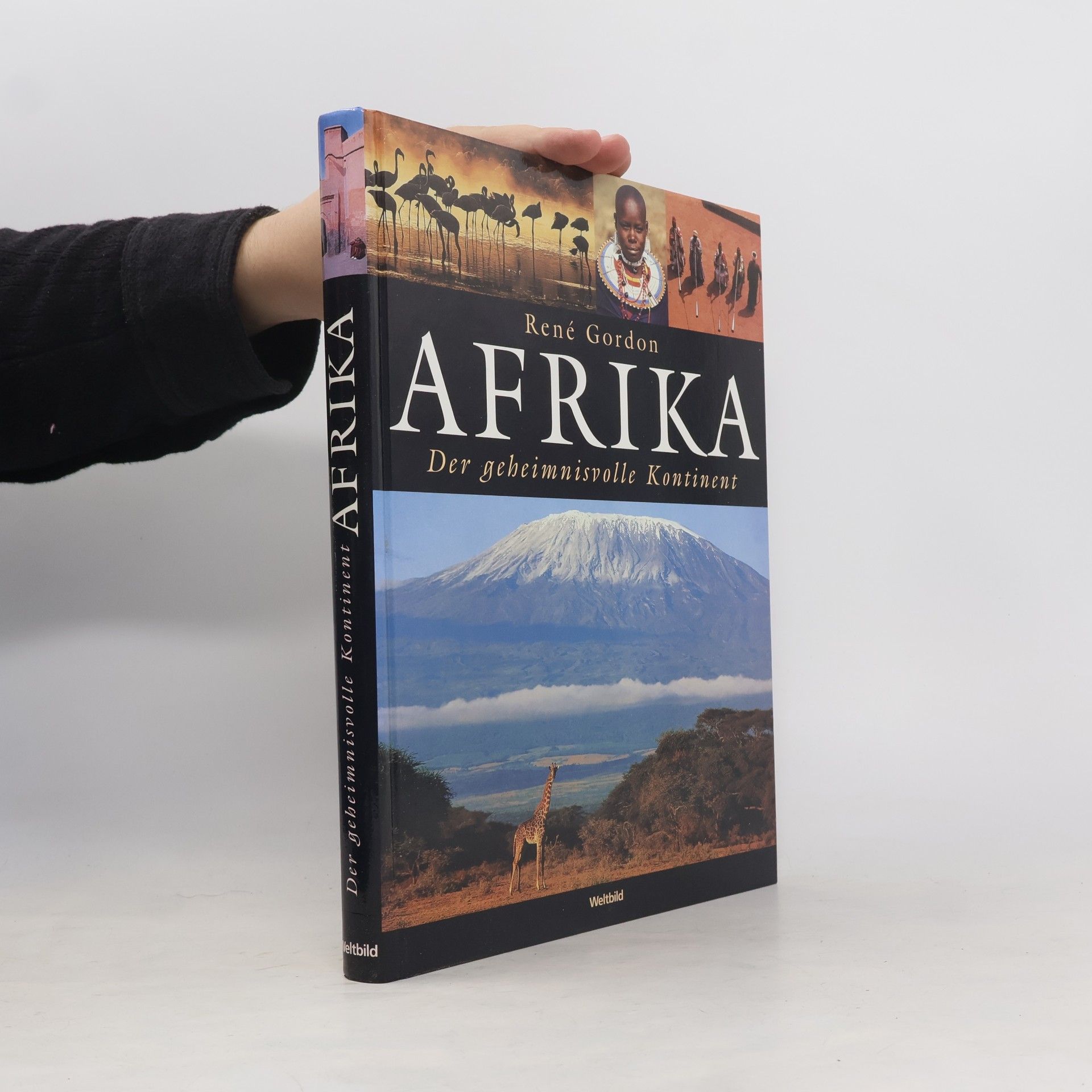 Rene Gordon Afrika