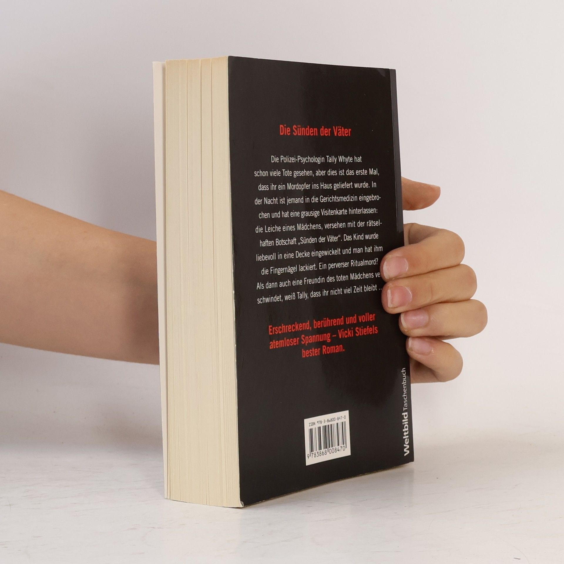 Vicki Stiefel Der Kinderzähler