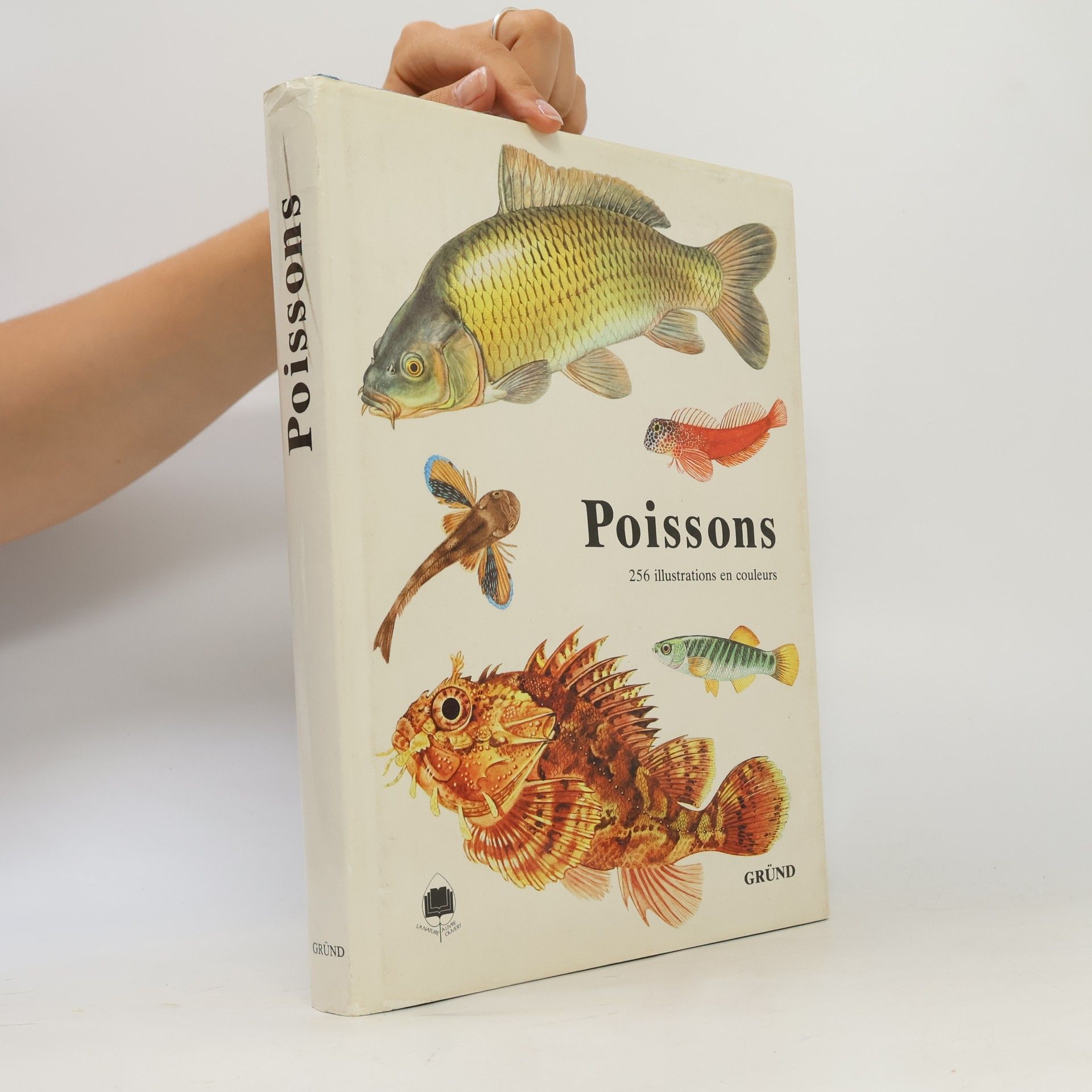Barbora Faure Poissons