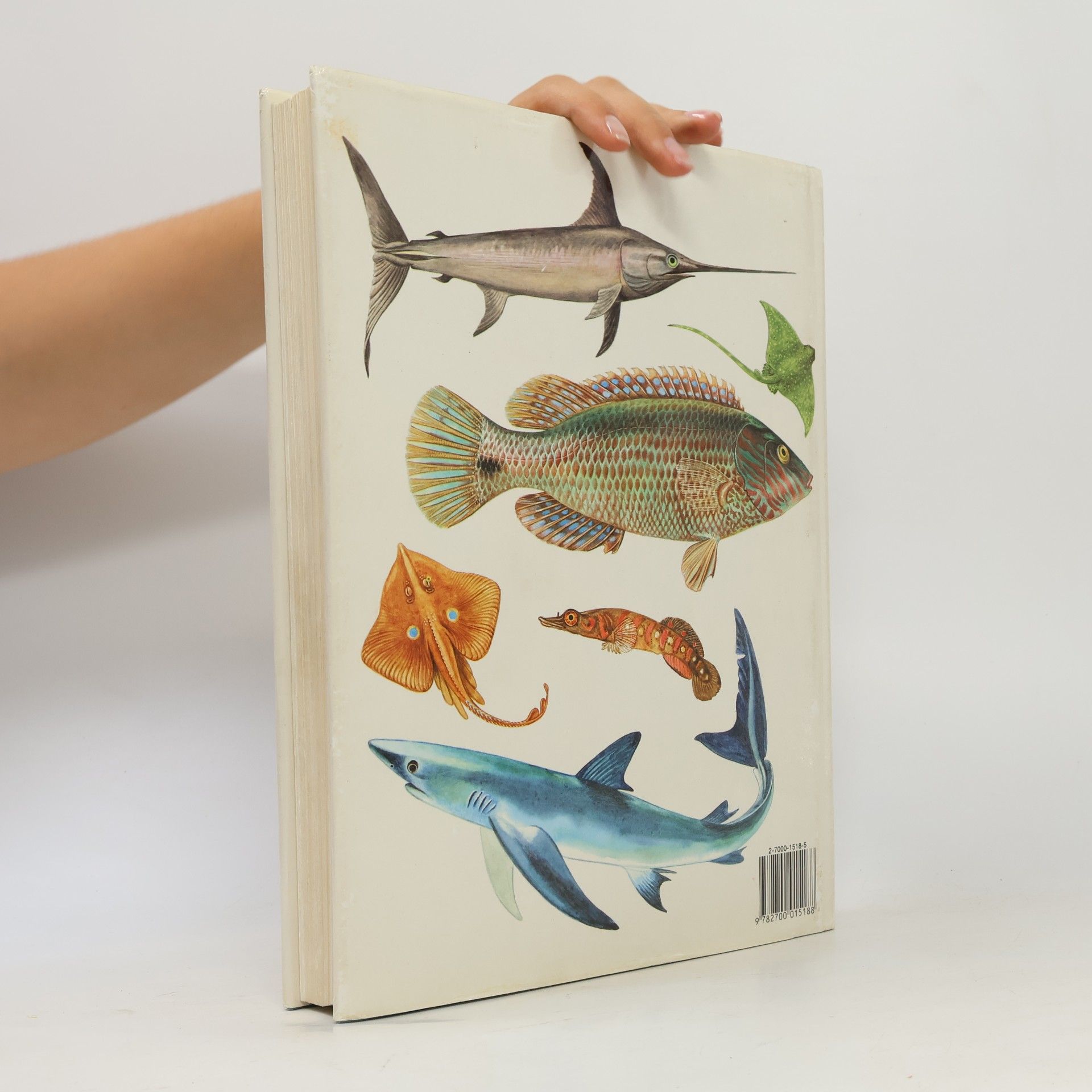 Květoslav Hísek Poissons