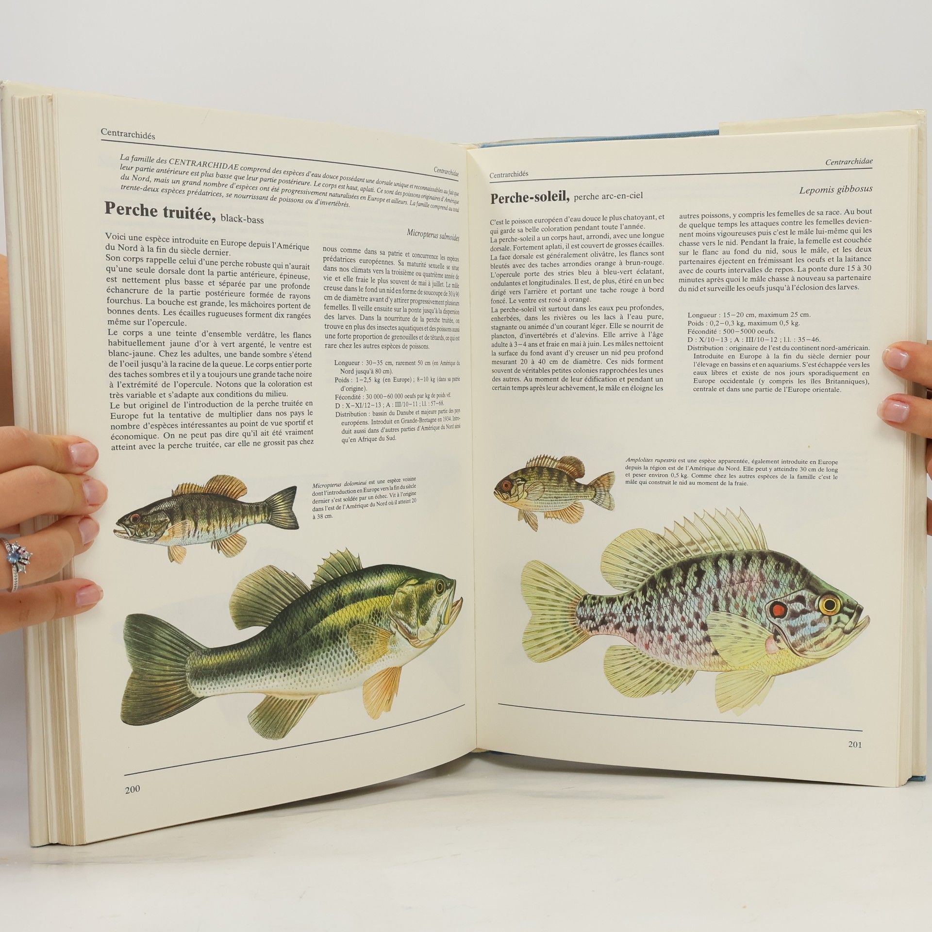 Květoslav Hísek Poissons
