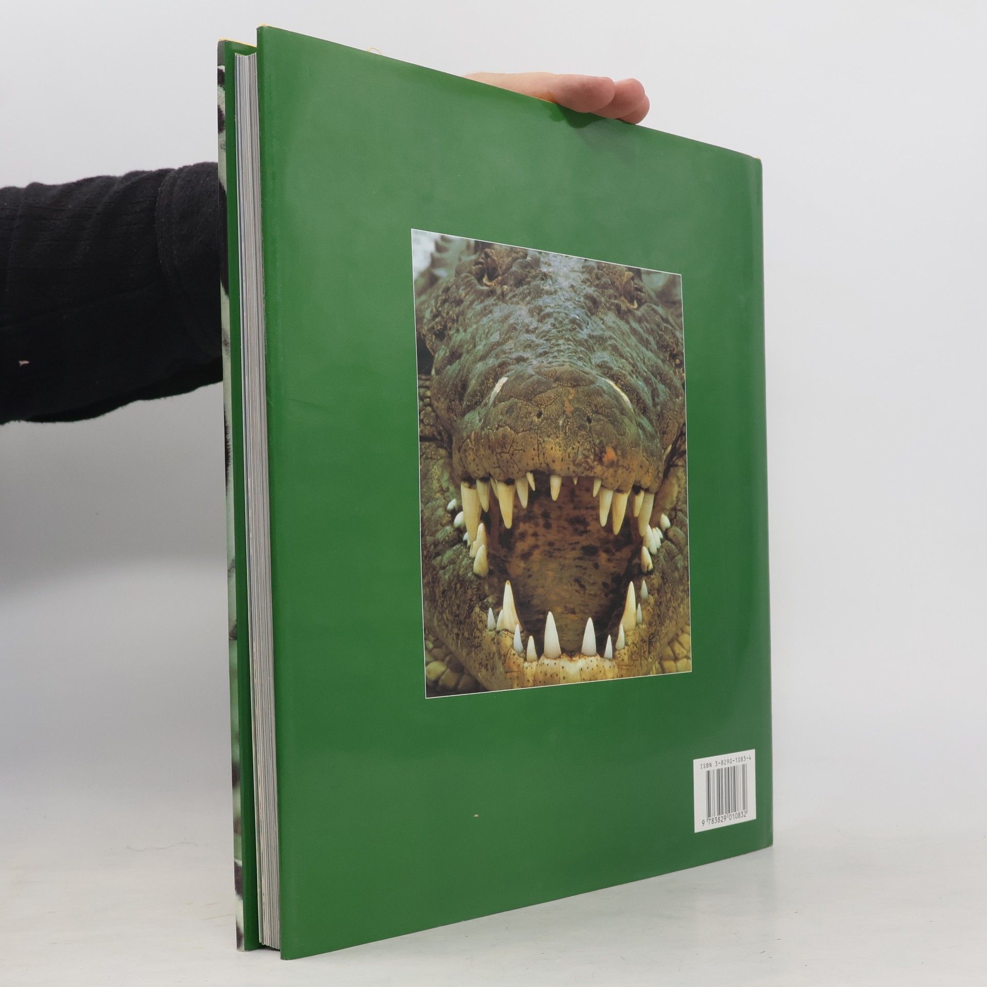 Thomas B. Allen Die Tiere Afrikas