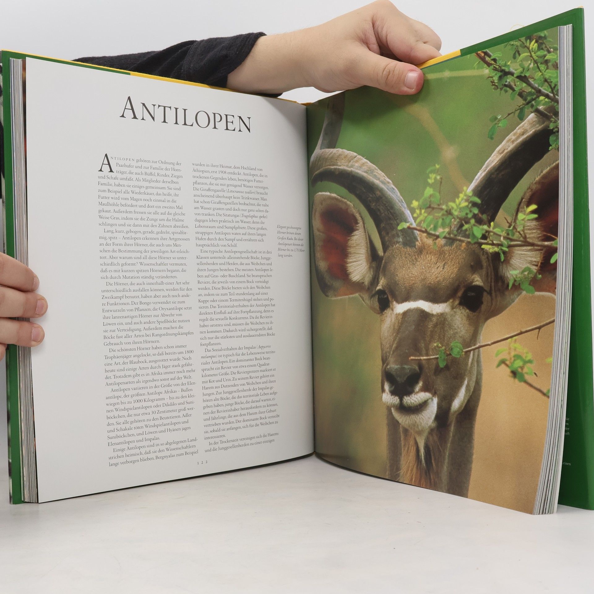 Thomas B. Allen Die Tiere Afrikas