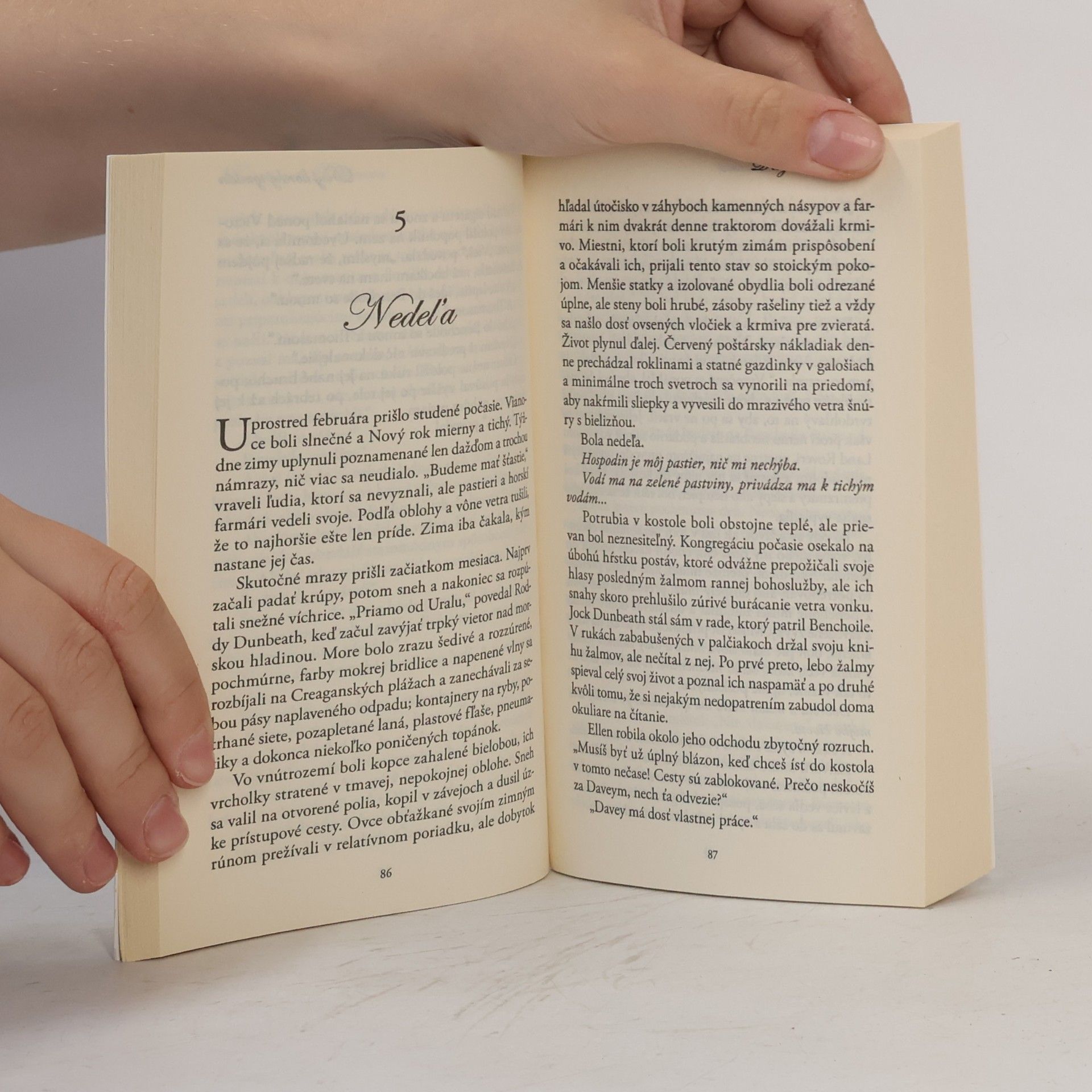 Rosamunde Pilcher Divý horský tymián