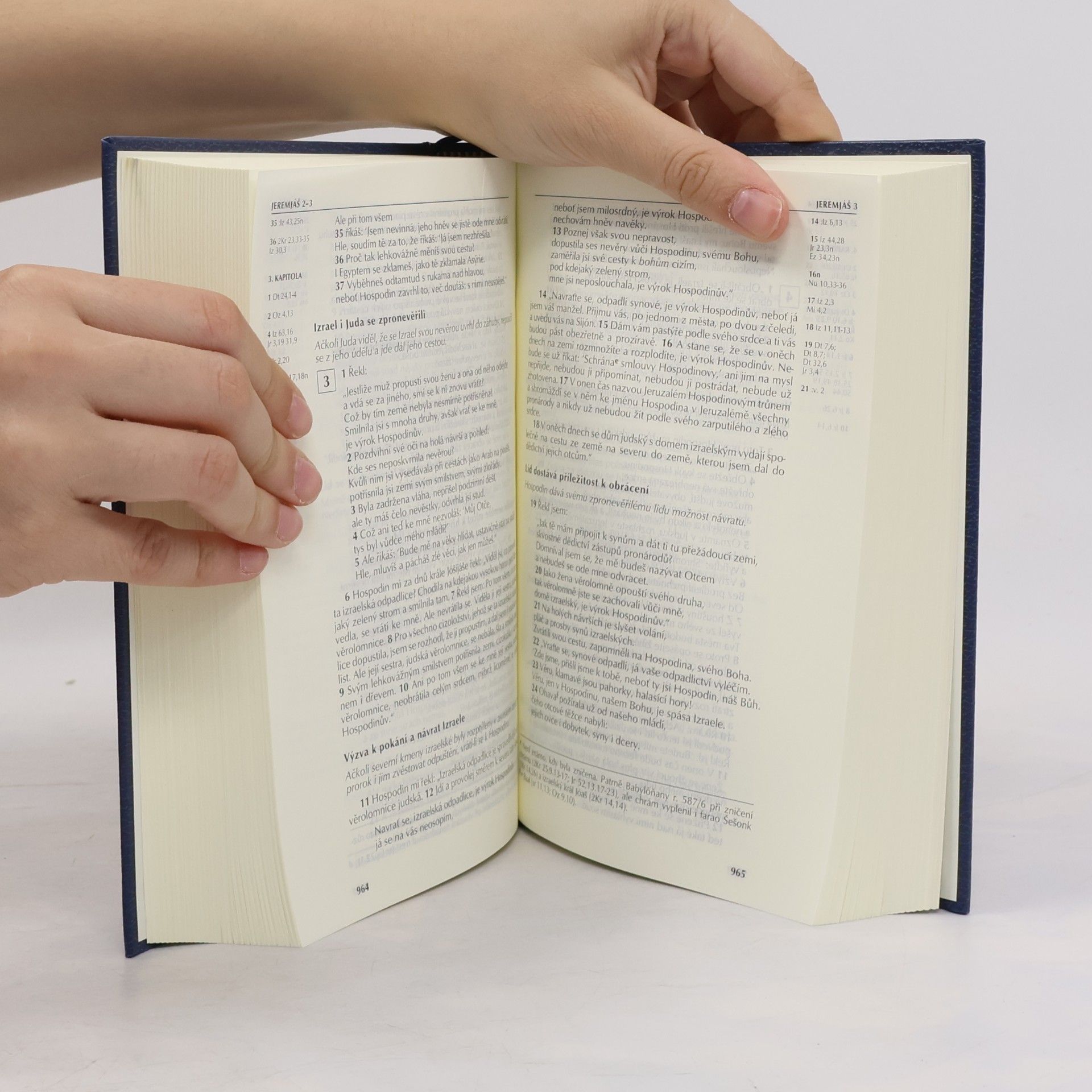AA.VV. Bible. Písmo svaté Starého a Nového Zákona