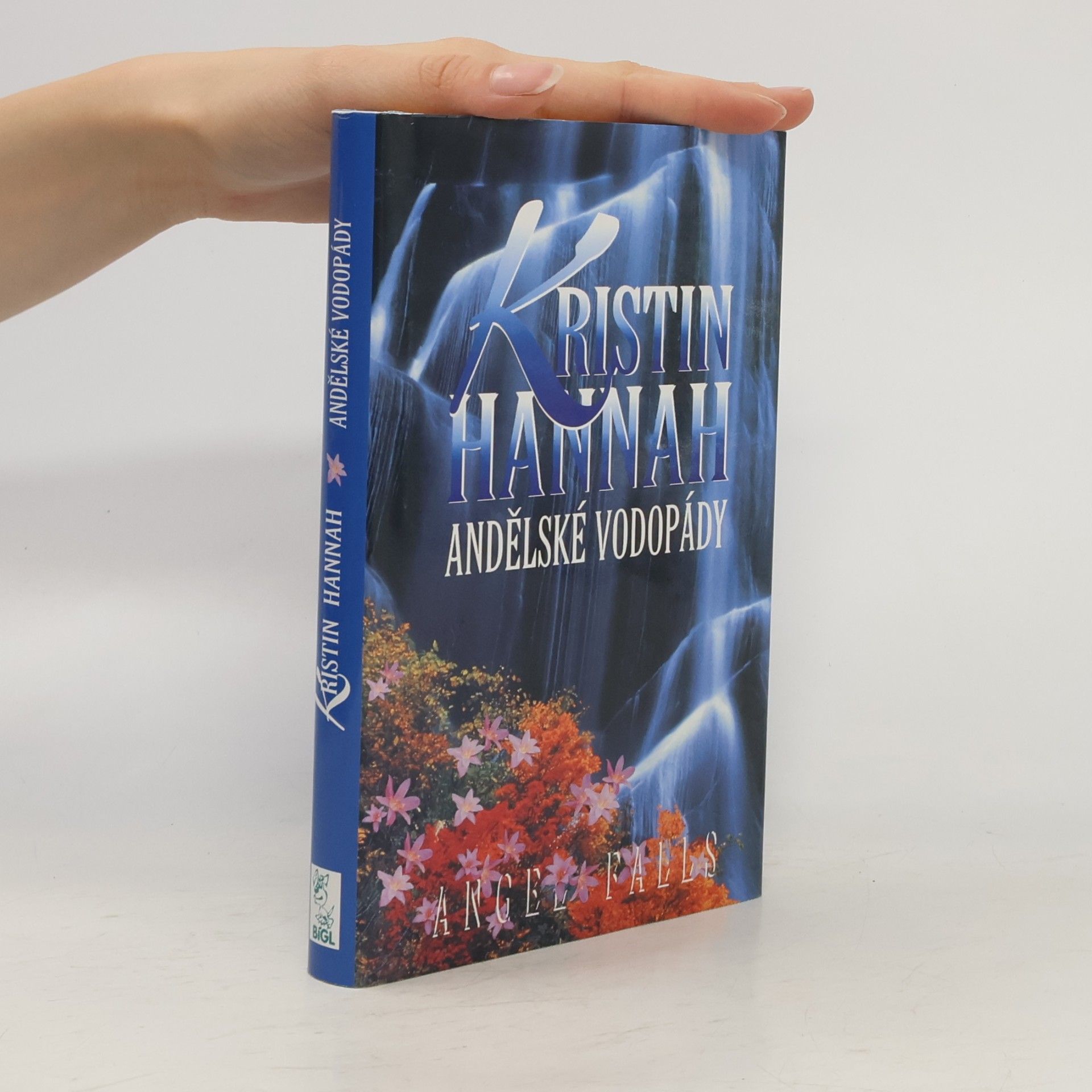 Kristin Hannah Andělské vodopády