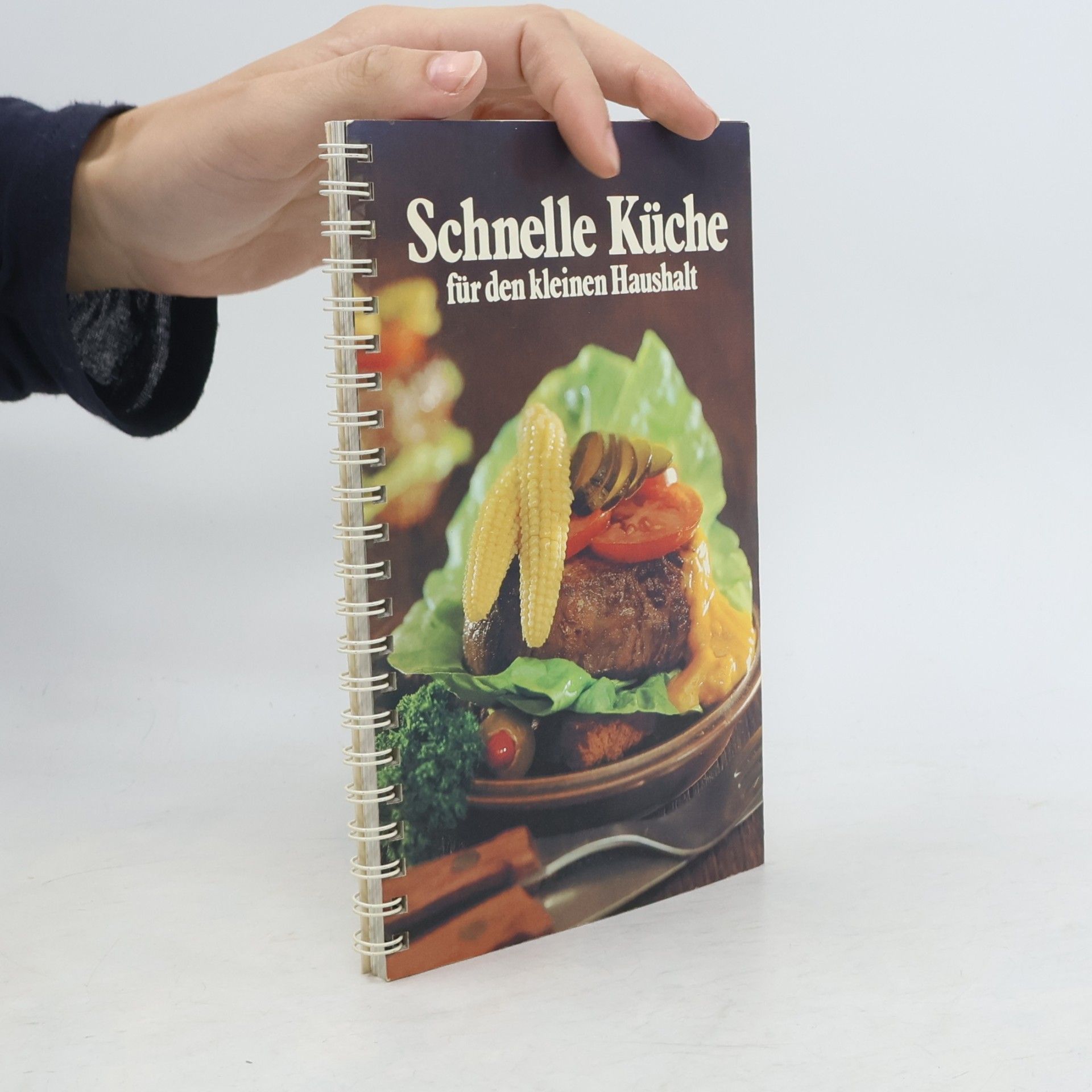 Kolektiv autorů Schnelle Küche für den kleinen Haushalt
