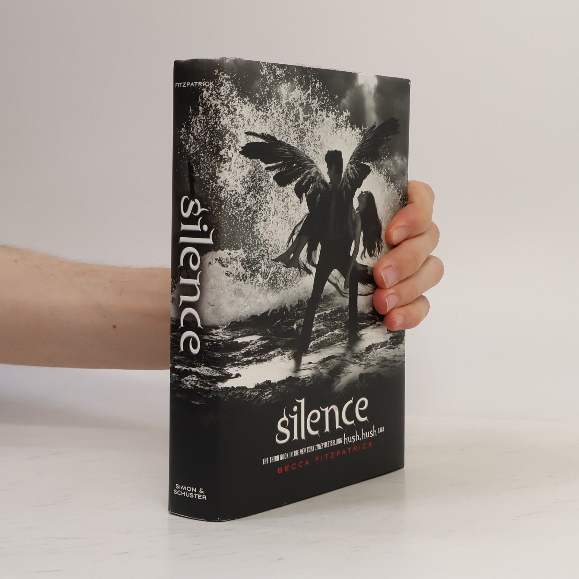Becca Fitzpatrick Silence