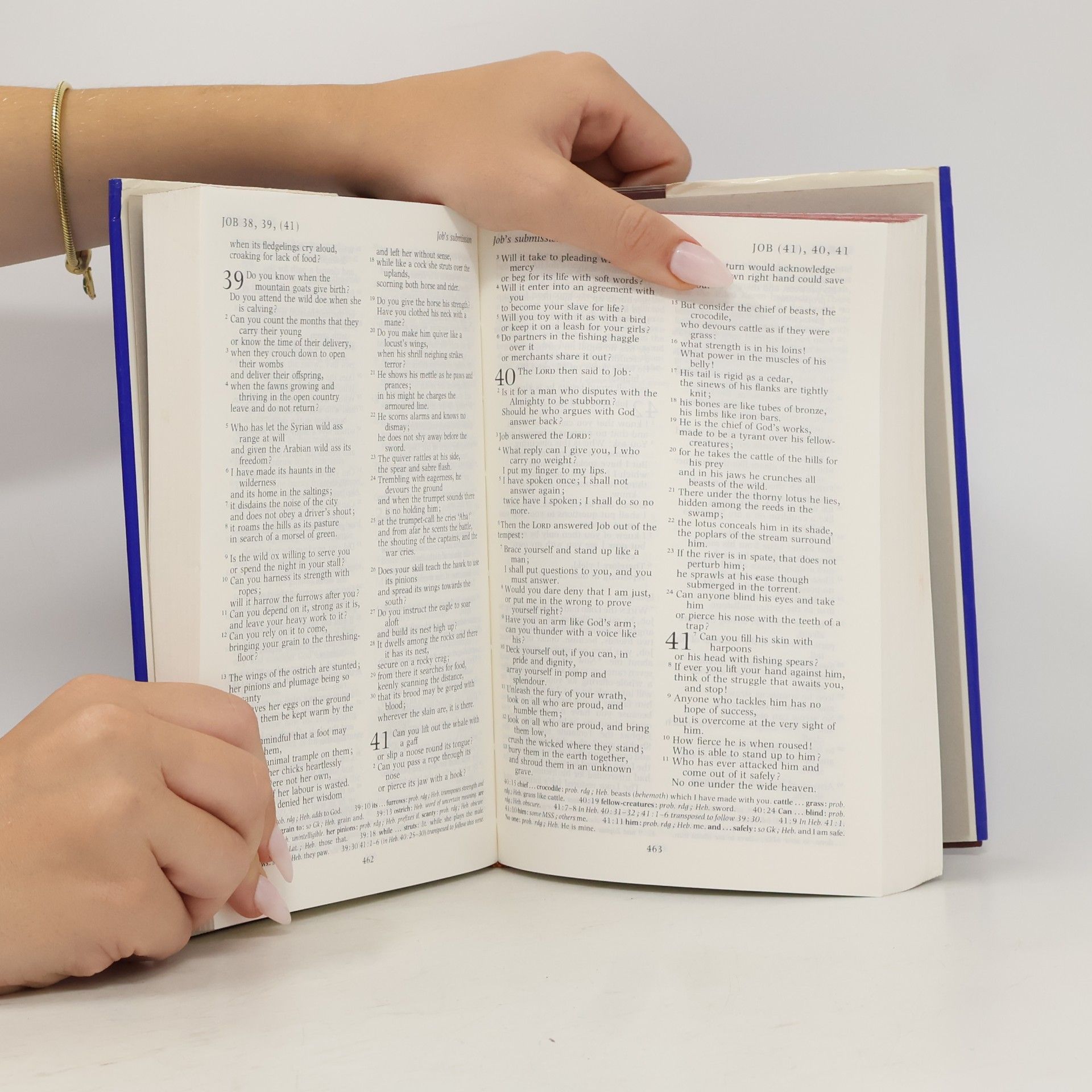 Autorenkollektiv The revised english Bible