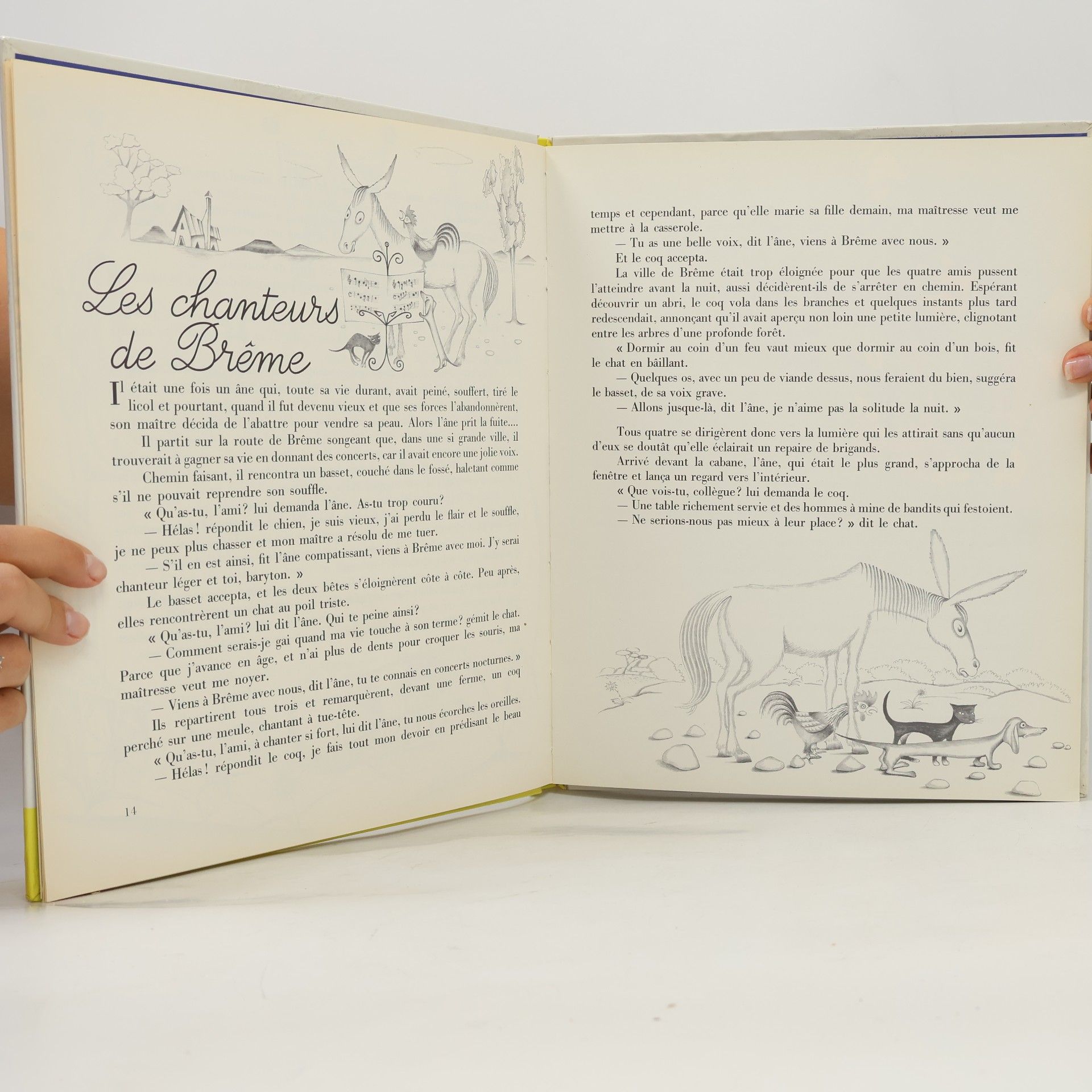 Collectif d'auteurs Contes de Grimm