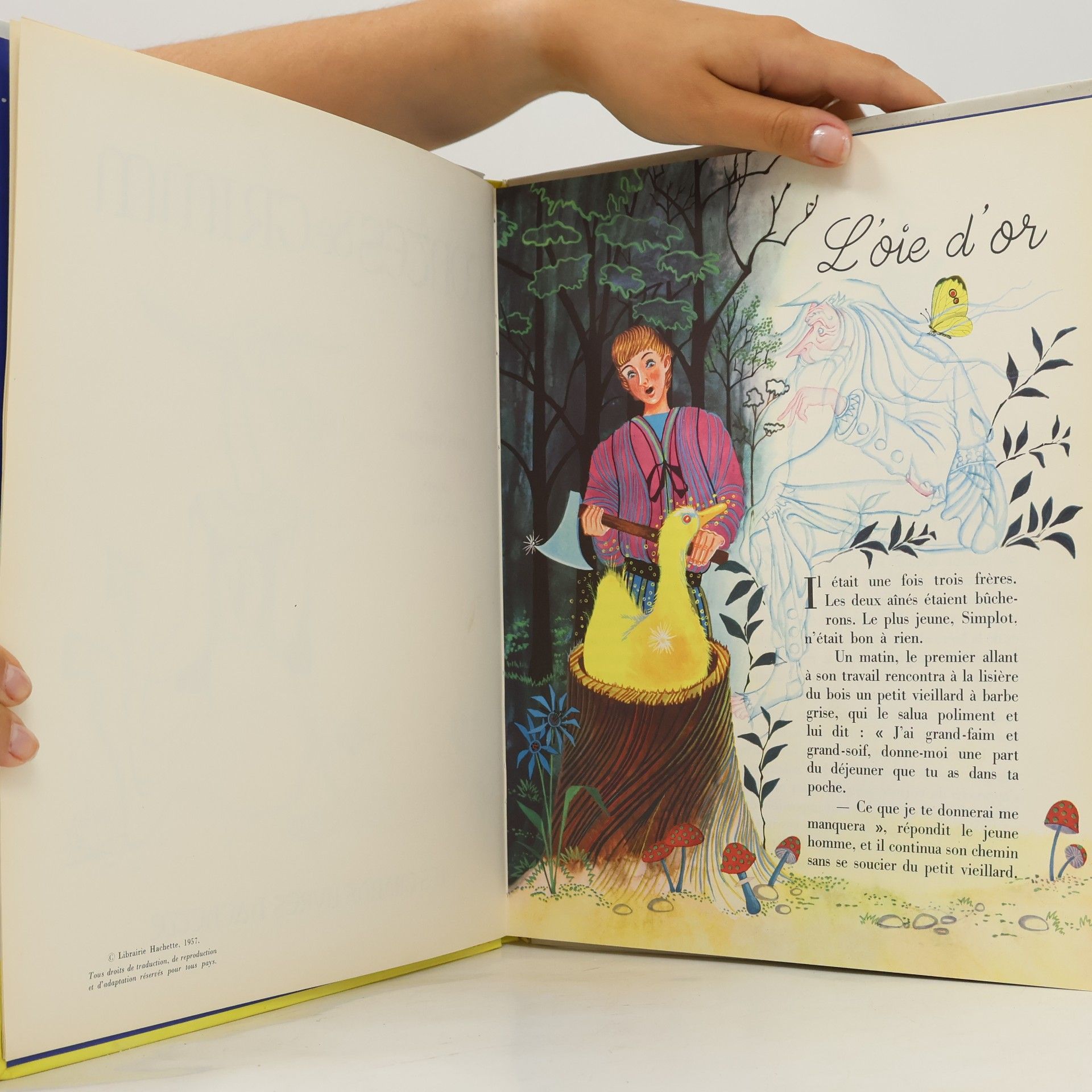 Collectif d'auteurs Contes de Grimm