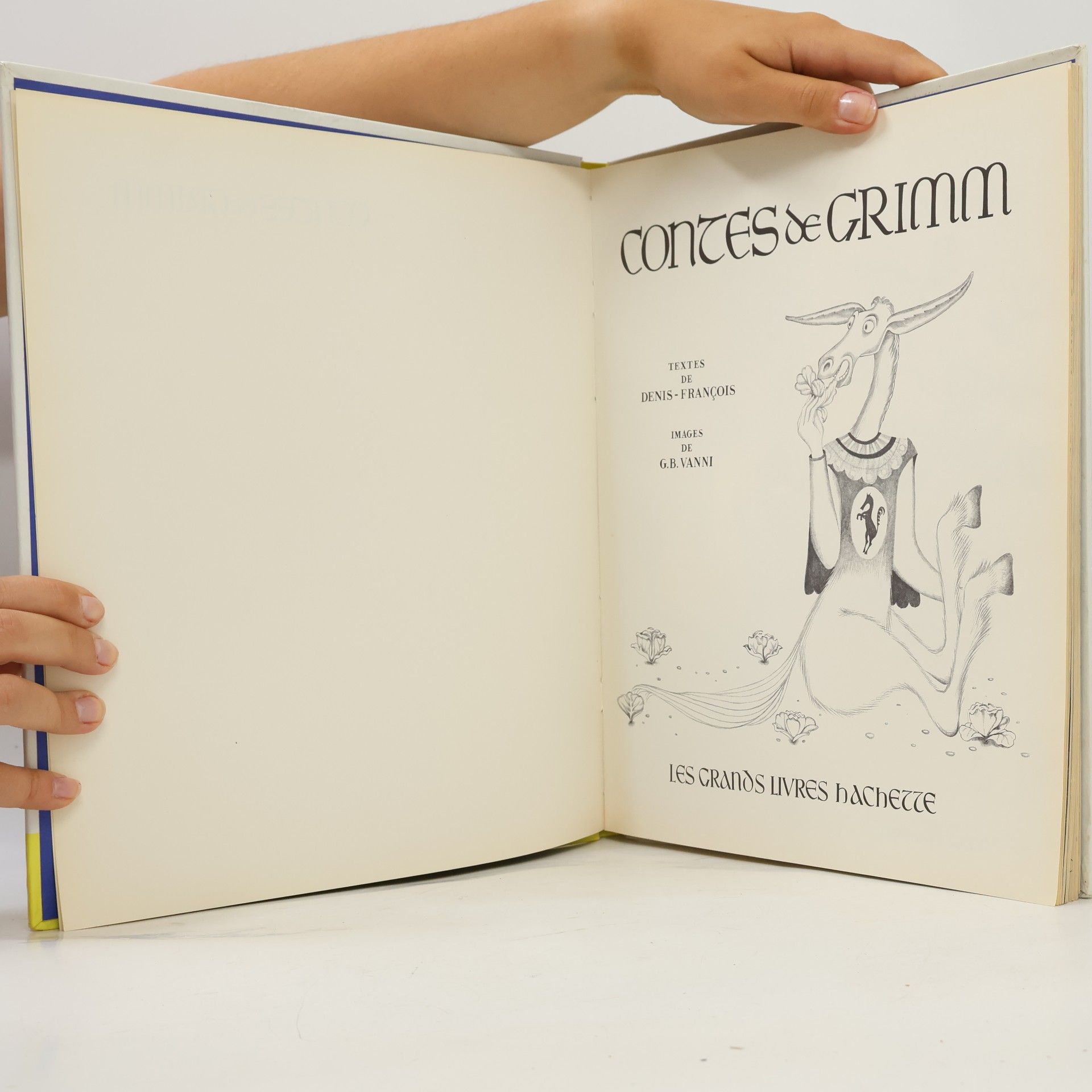 Collectif d'auteurs Contes de Grimm