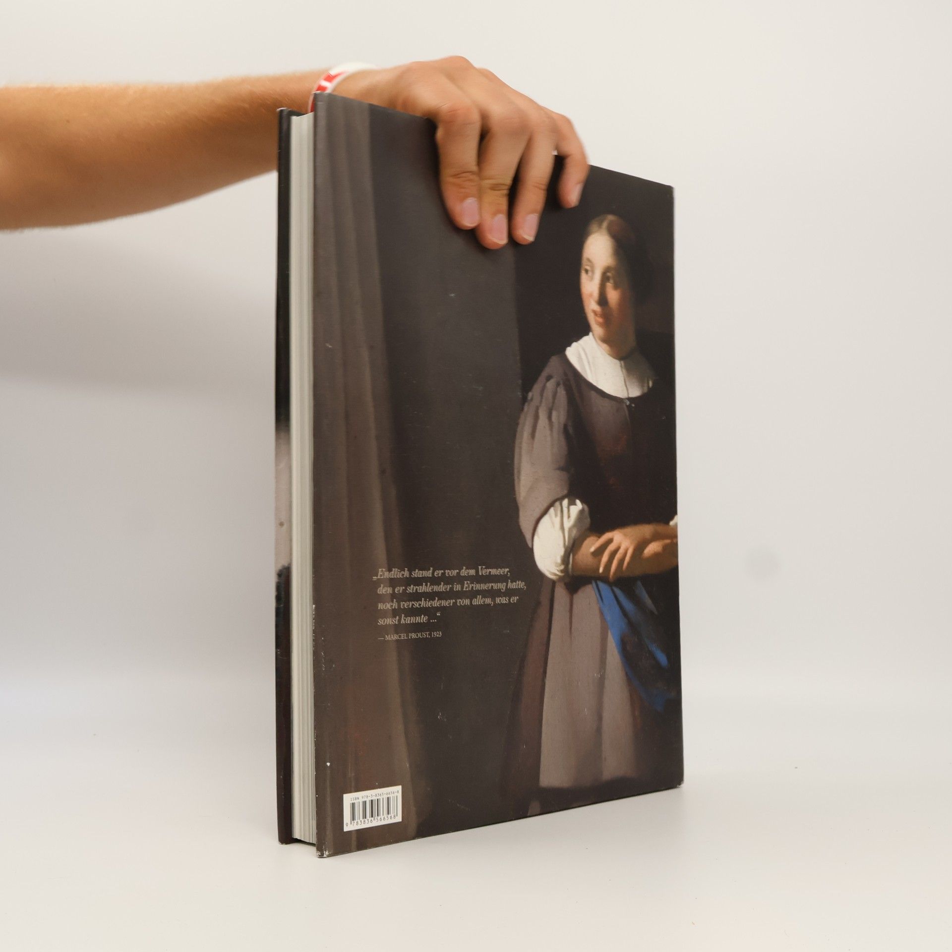 Karl Schütz Vermeer: das vollständige Werk