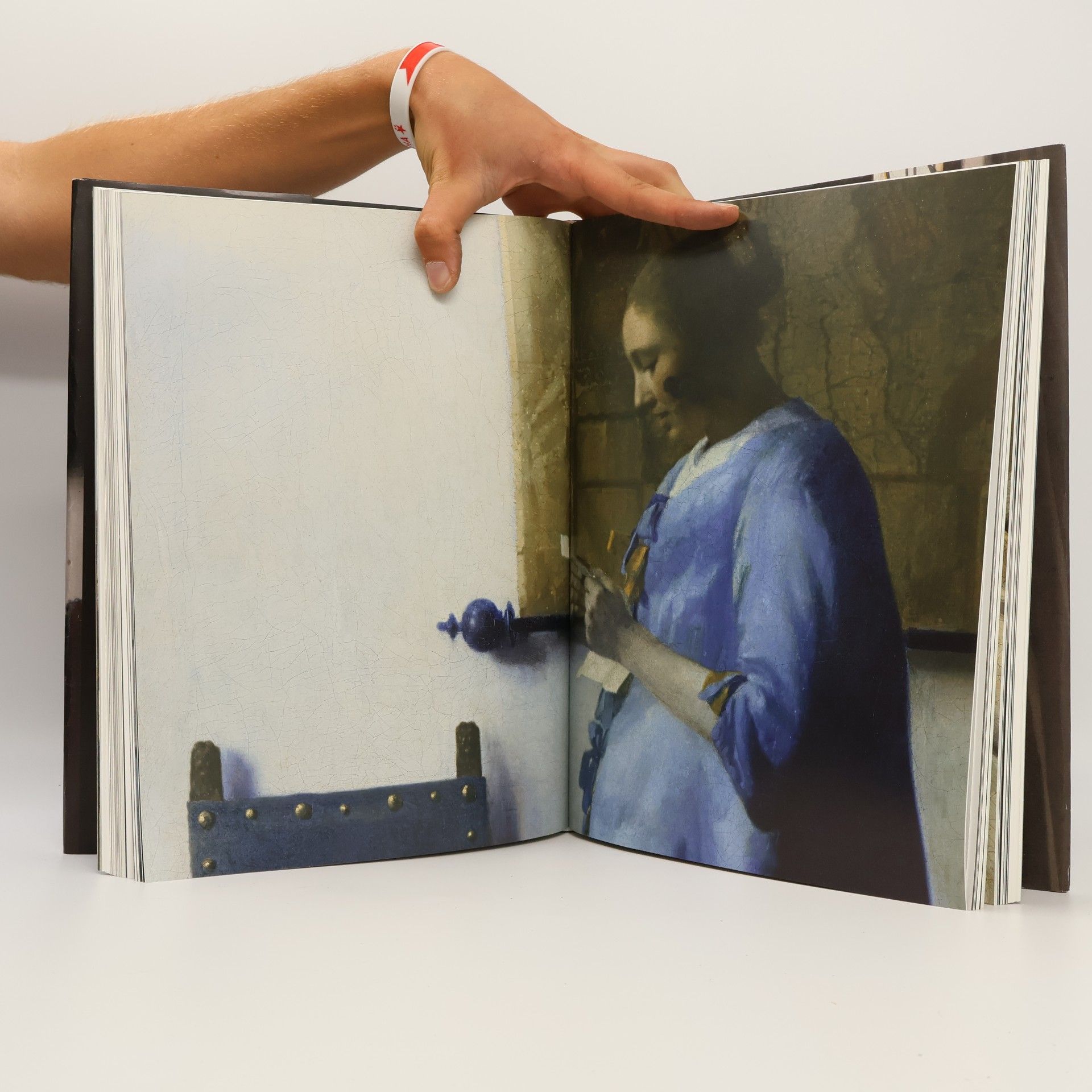 Karl Schütz Vermeer: das vollständige Werk