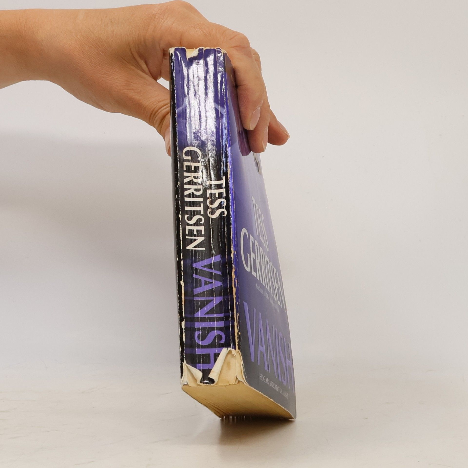 Tess Gerritsen Vanish