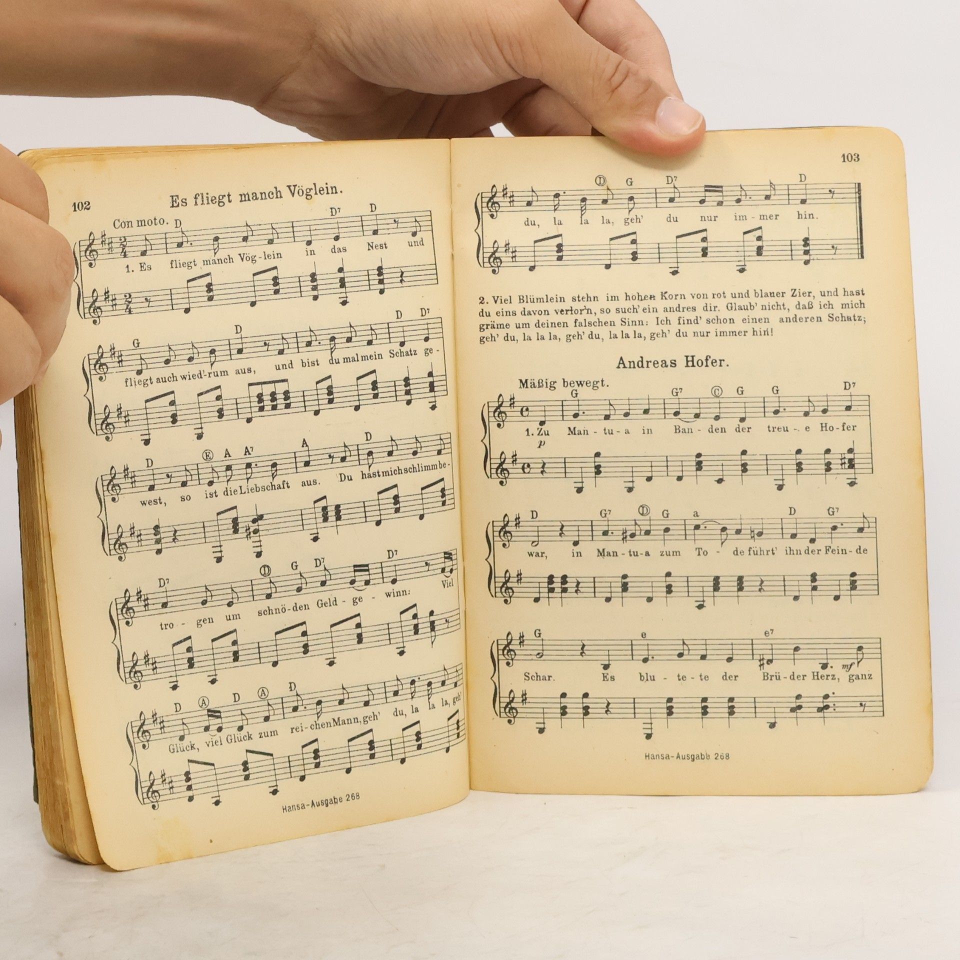 Fritz Dehnow Lieder zur Gitarre oder Laute. Wandervogel Album