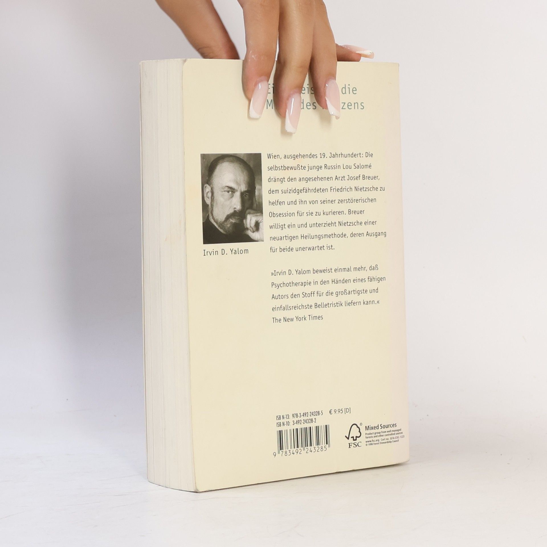 Irvin Yalom Und Nietzsche weinte