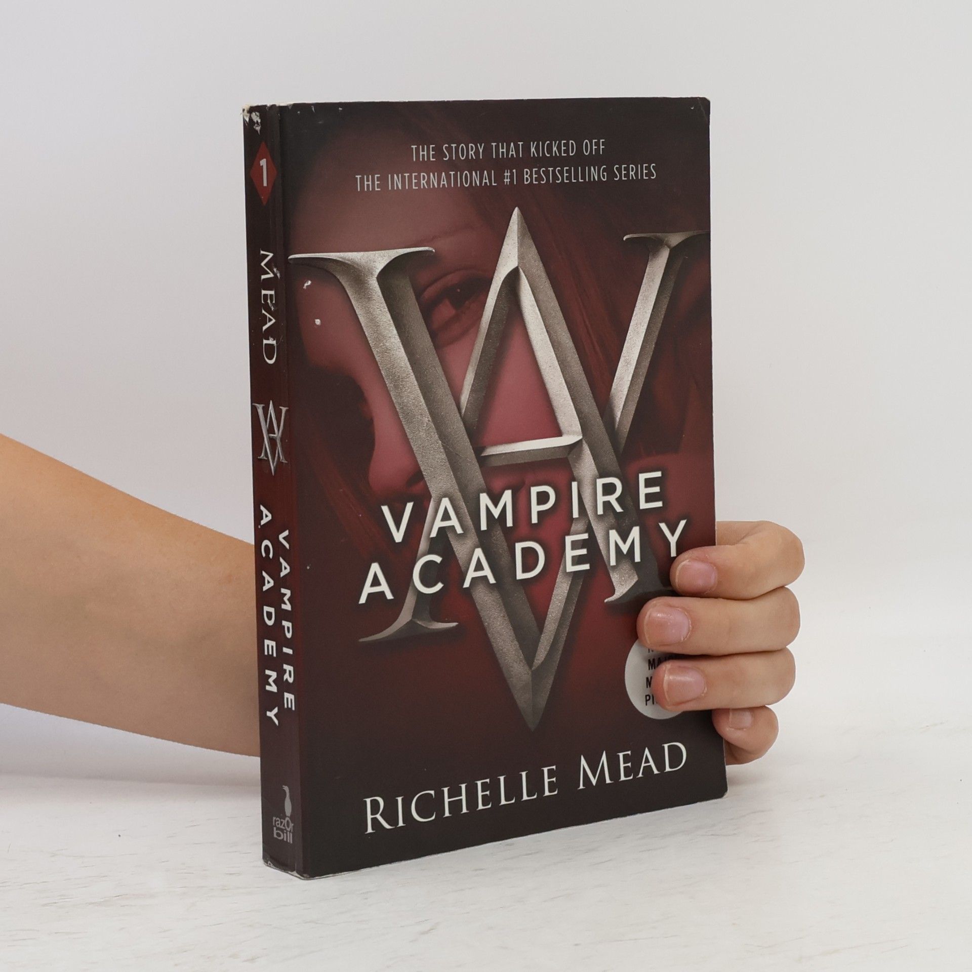 Richelle Mead Vampire Academy