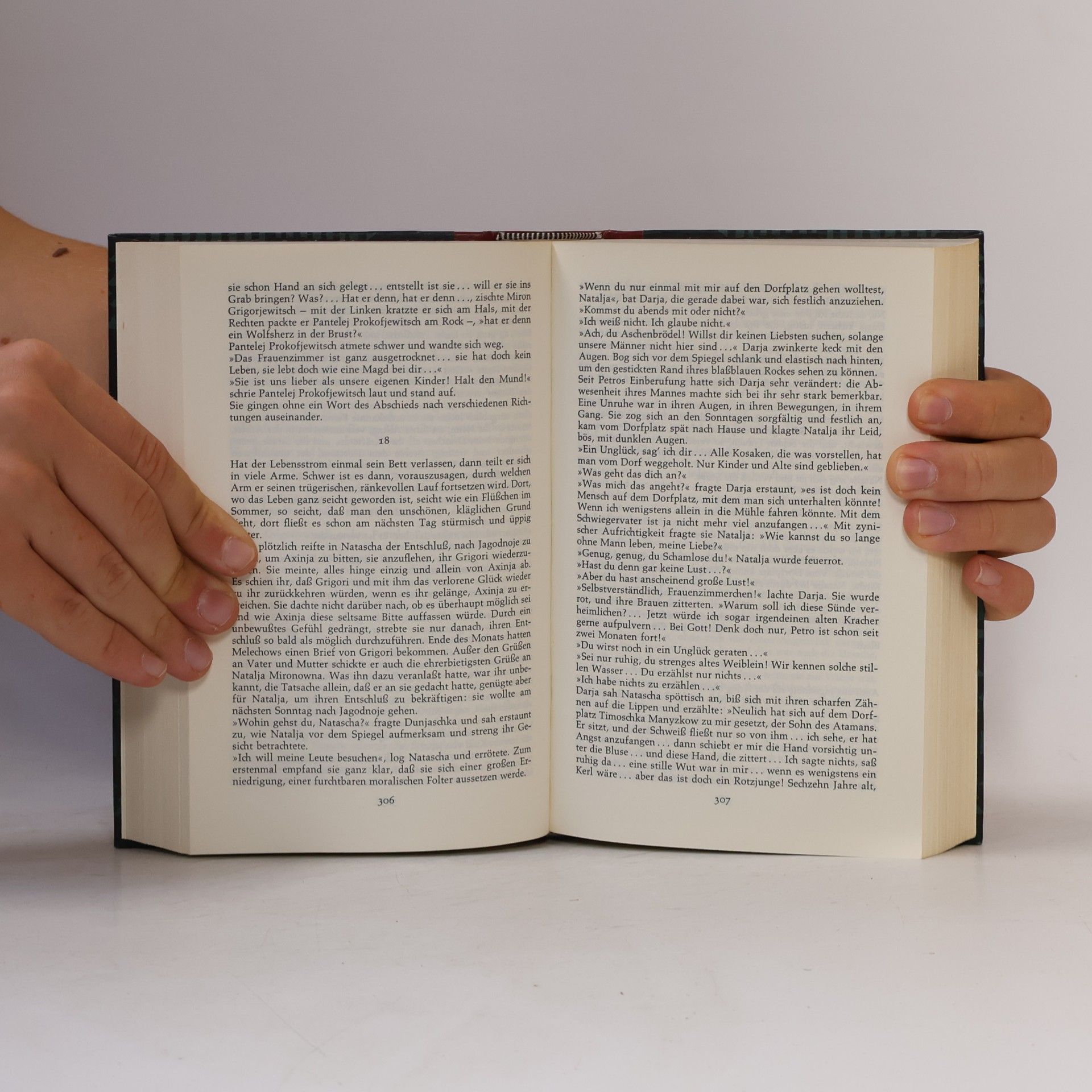 Michail Aleksandrovič Šolochov Der stille Don. Erstes und Zweites Buch