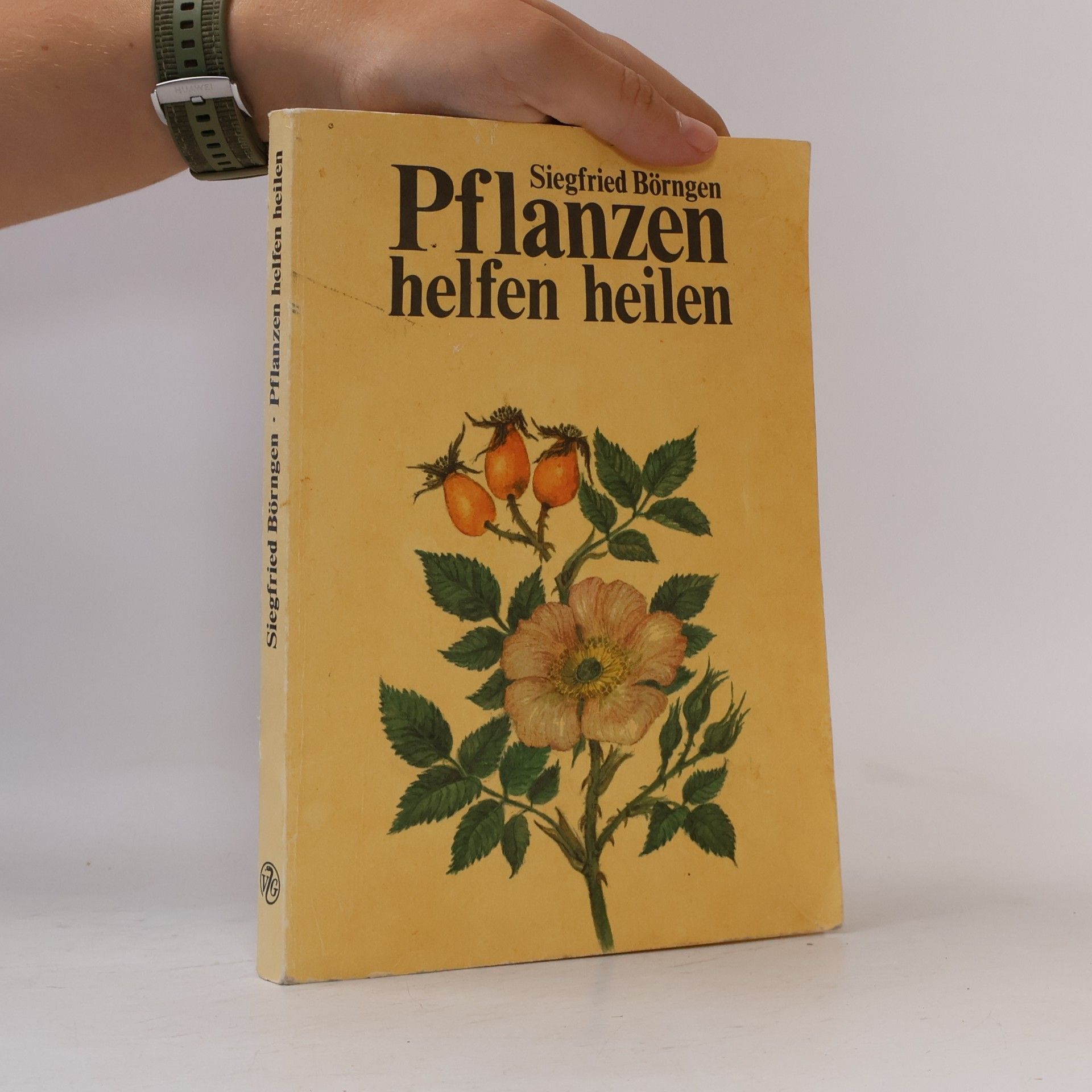 Siegfried Börngen Pflanzen helfen heilen