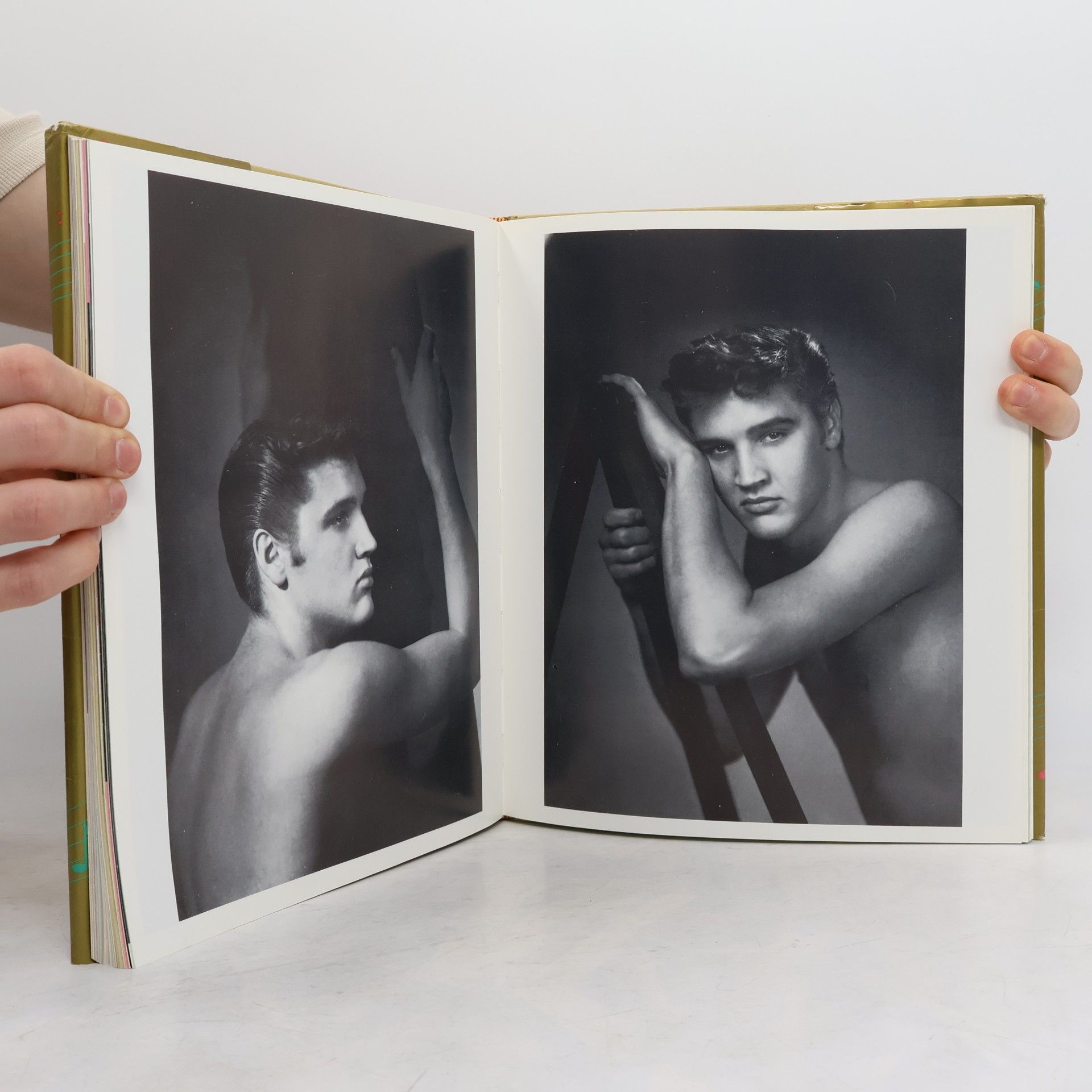 Jane Stern Elvis lebt