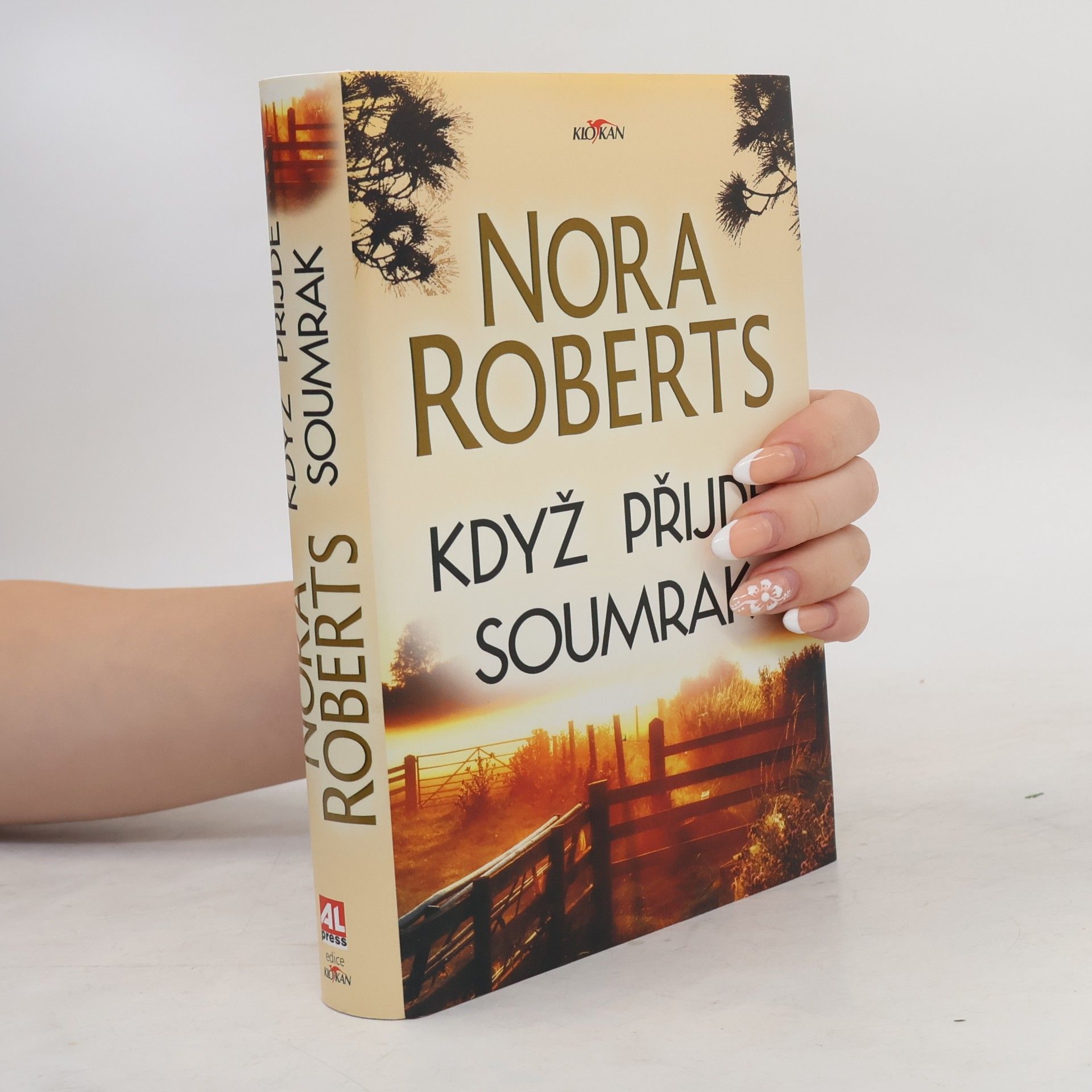 Nora Roberts Když přijde soumrak