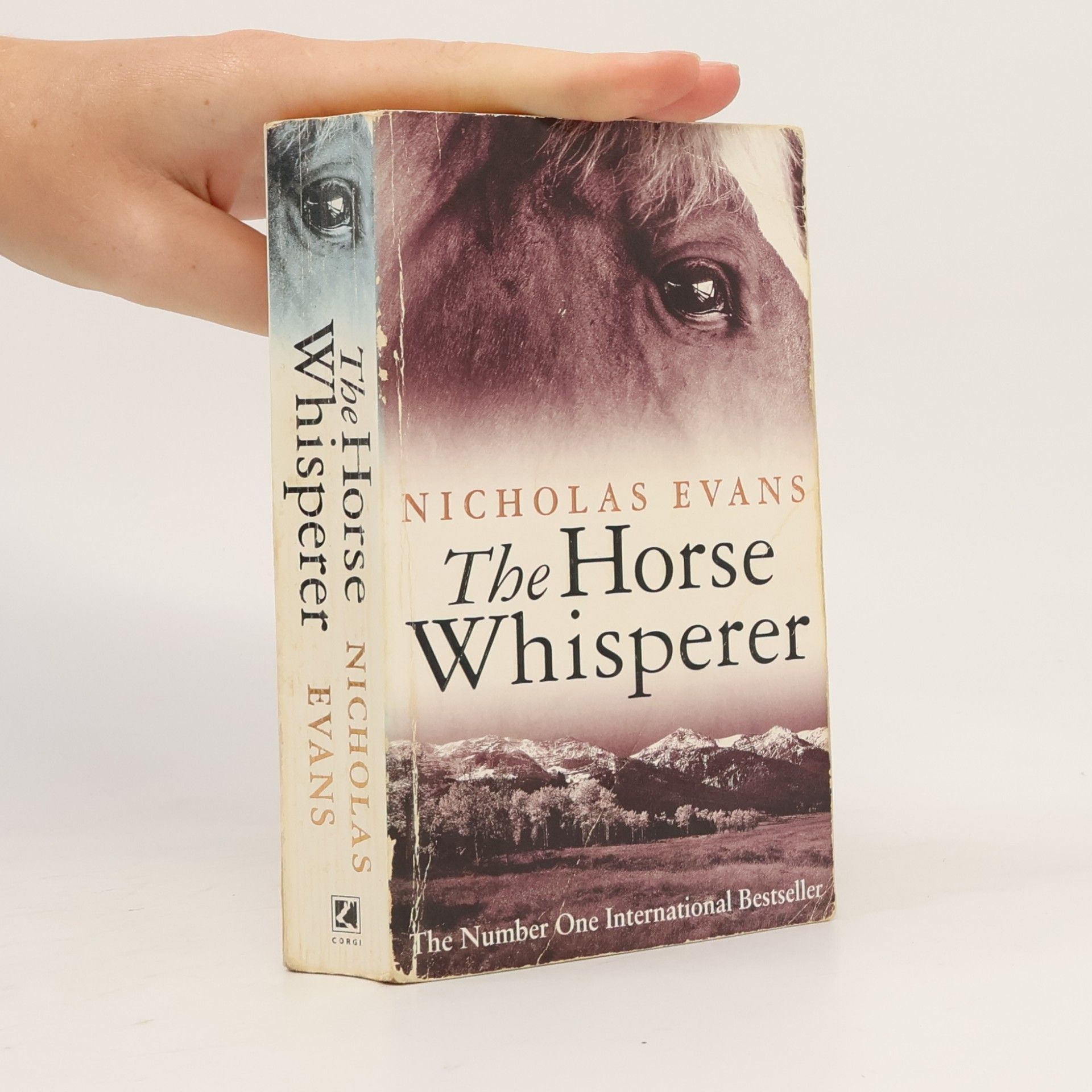 Nicholas Evans The horse whisperer