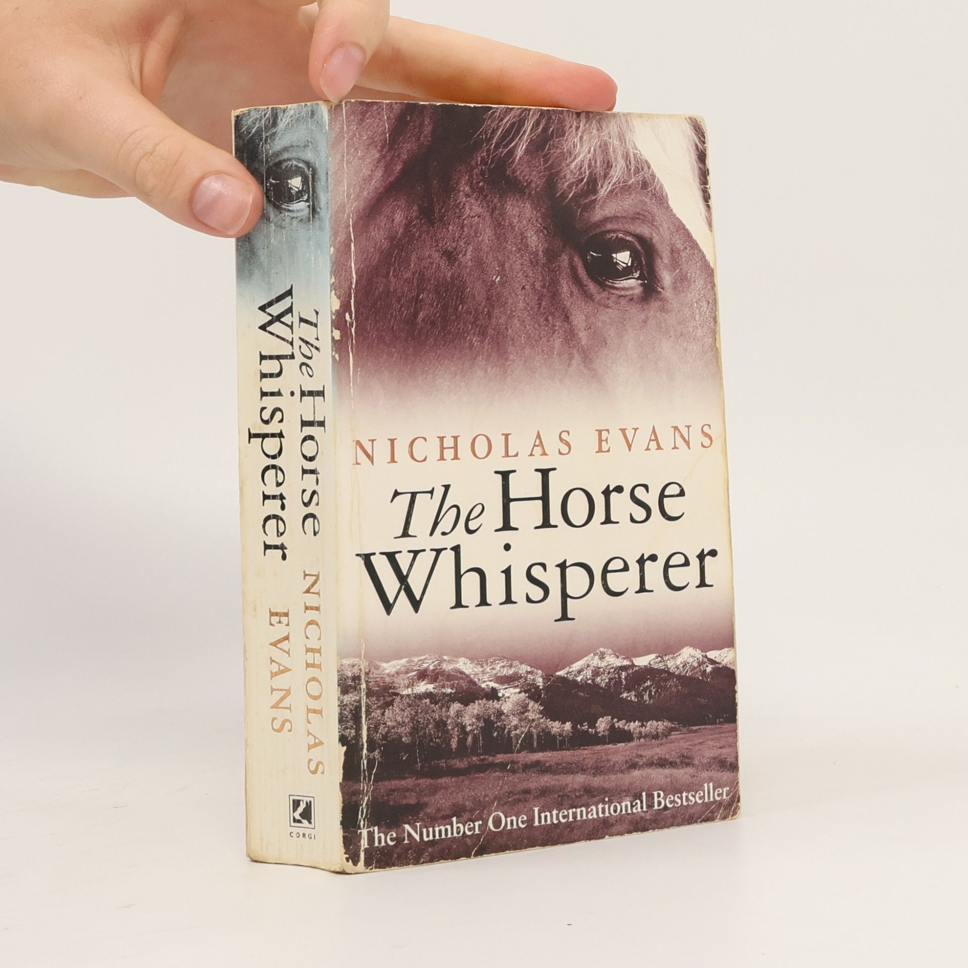Nicholas Evans The horse whisperer