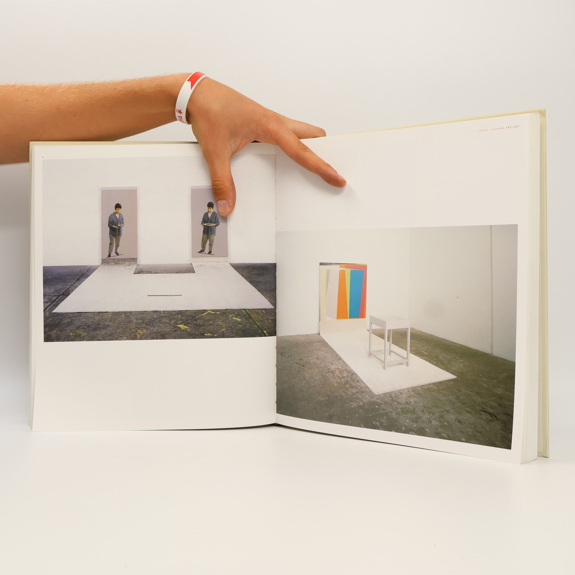 Barry Schwabsky Vitamin P. New Perspectives in Painting
