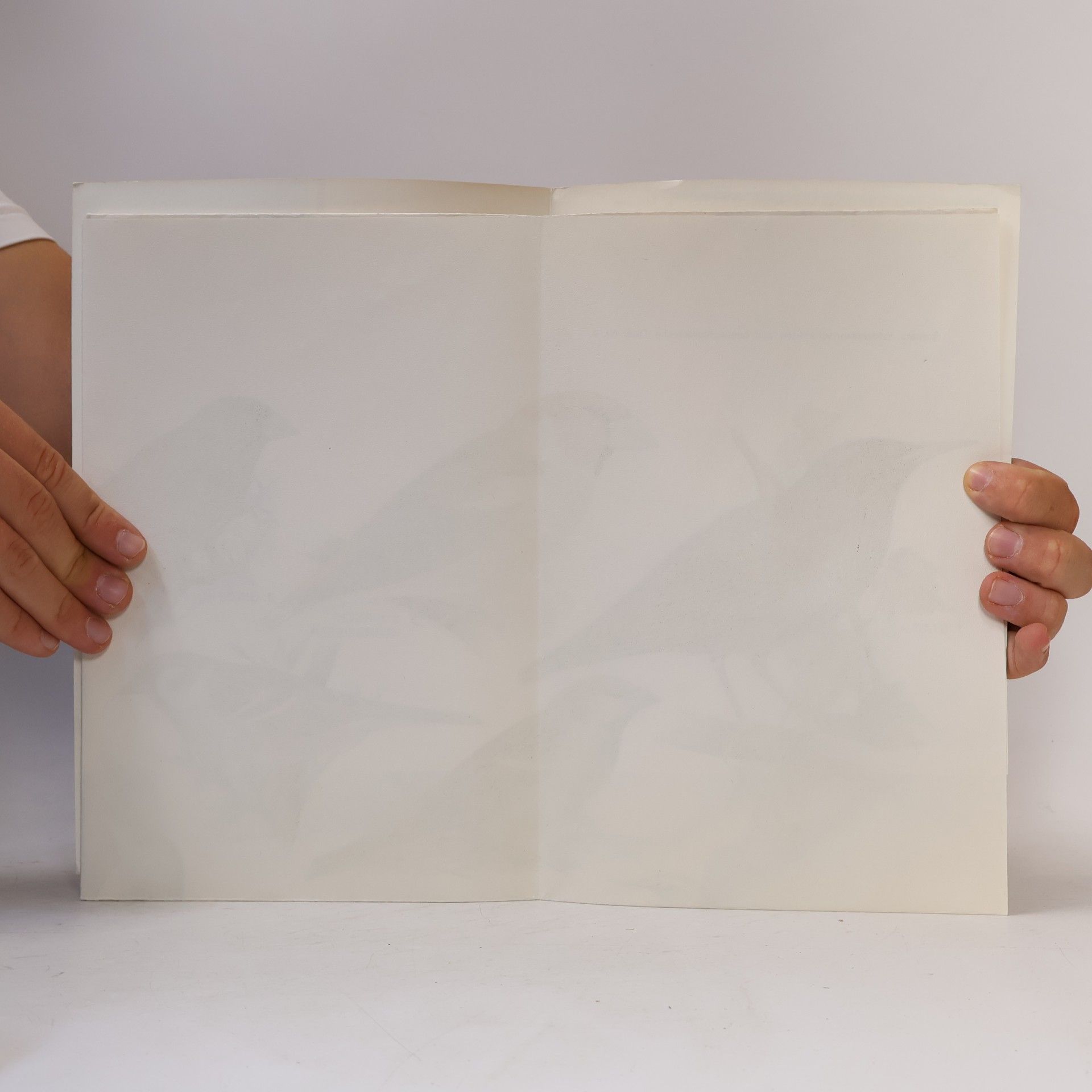 Various authors Einheimische Singvögel 9