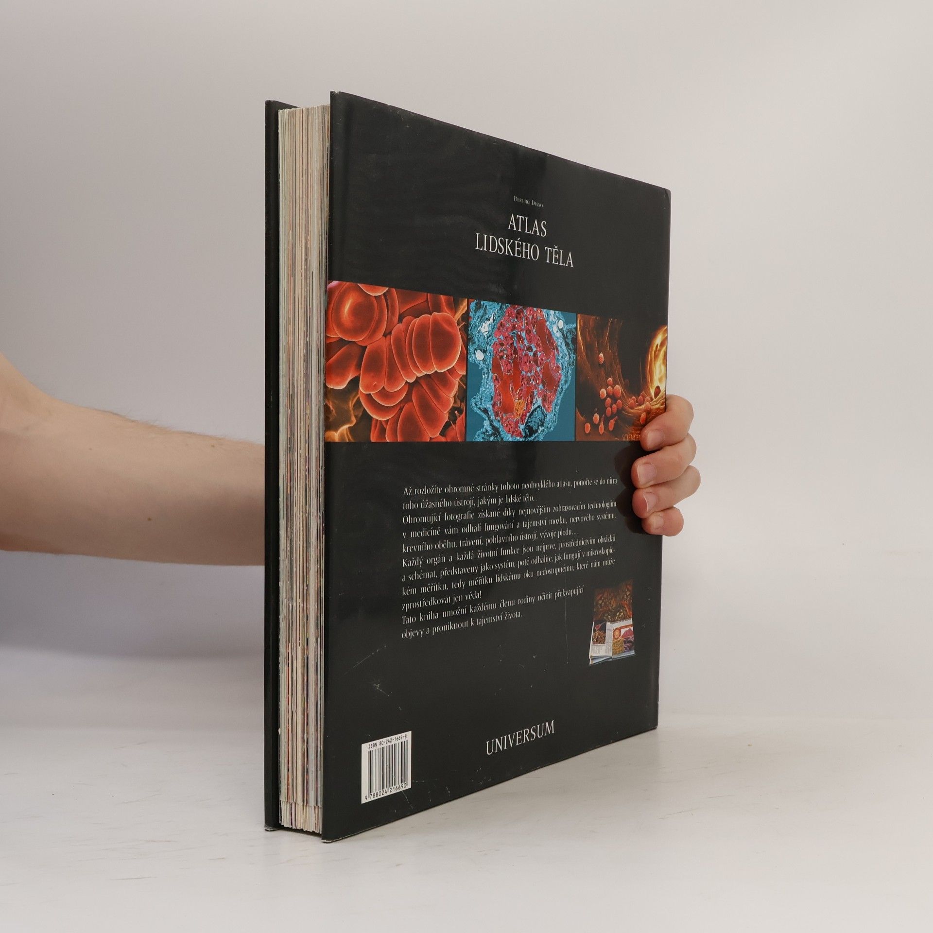 Pierluigi Diano Atlas lidského těla