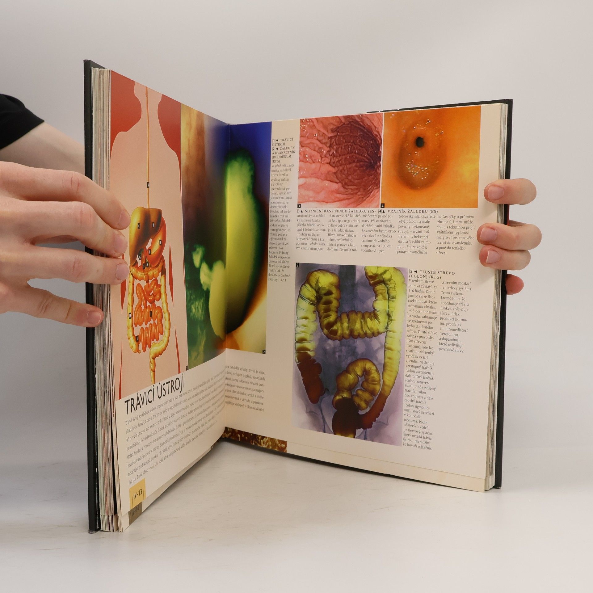 Pierluigi Diano Atlas lidského těla