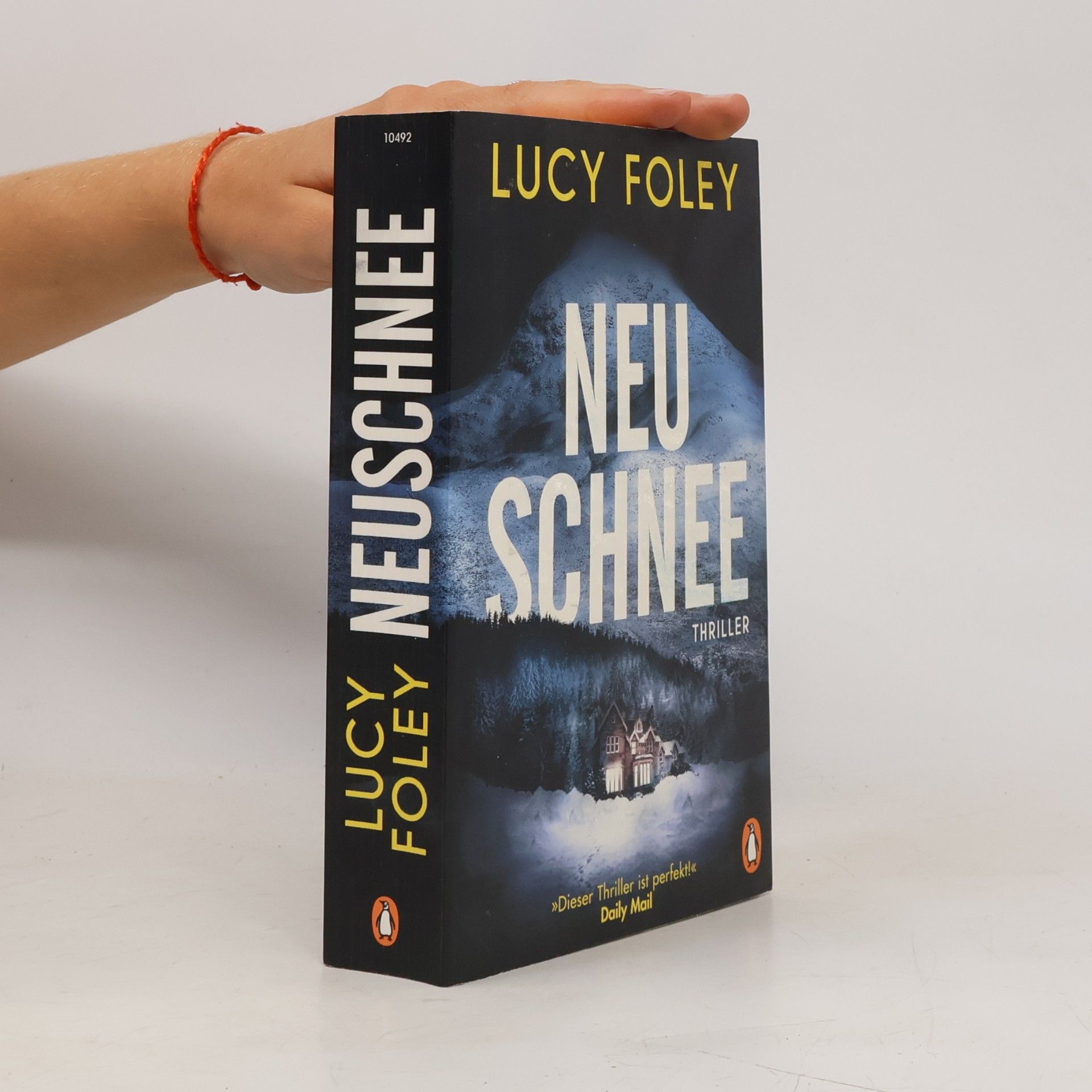 Lucy Foley Neuschnee