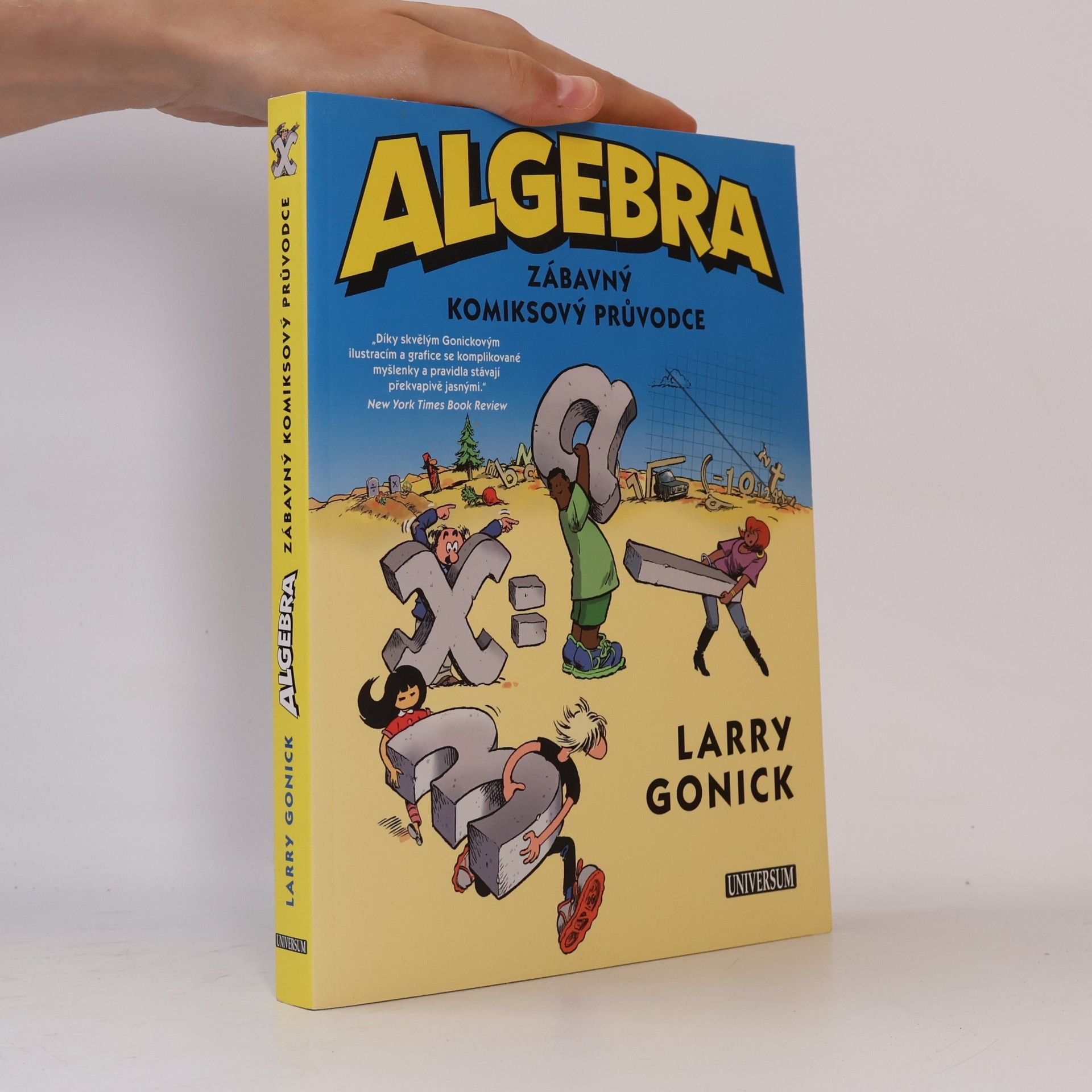 Larry Gonick Algebra. Zábavný komiksový průvodce