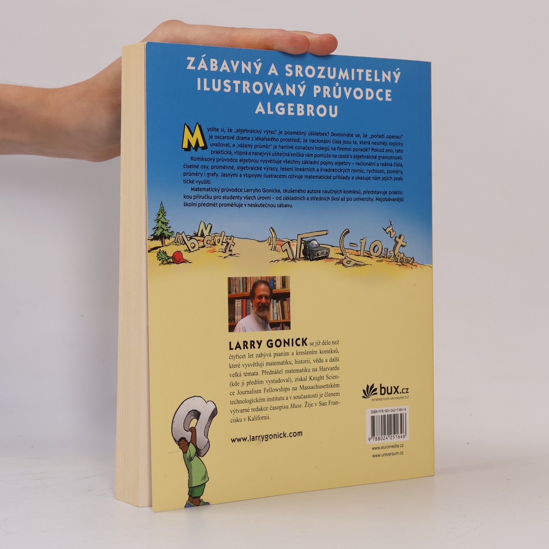 Larry Gonick Algebra. Zábavný komiksový průvodce