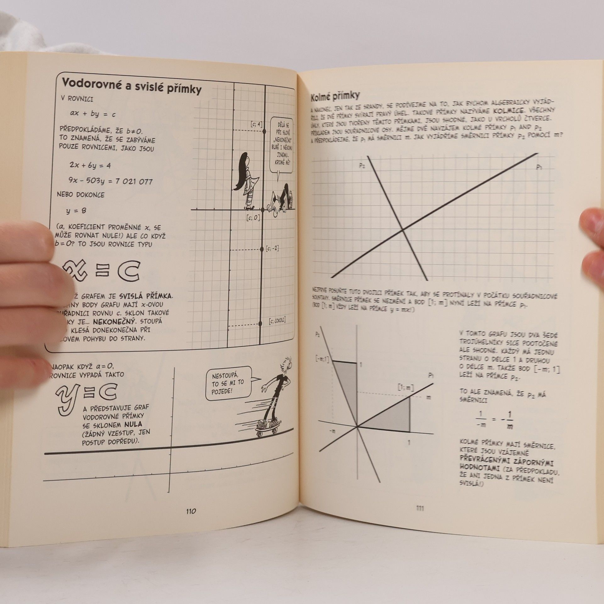 Larry Gonick Algebra. Zábavný komiksový průvodce