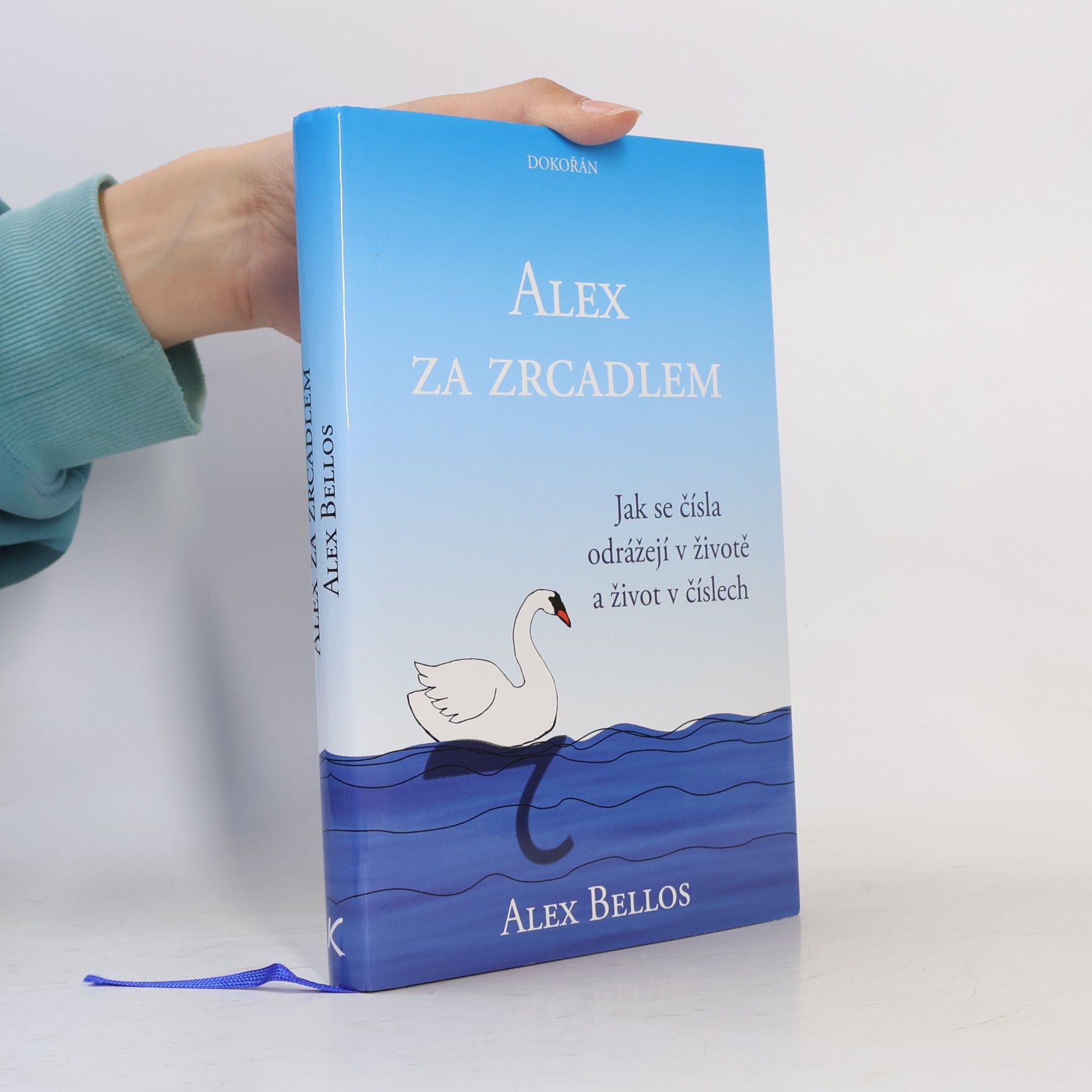 Alex Bellos Alex za zrcadlem