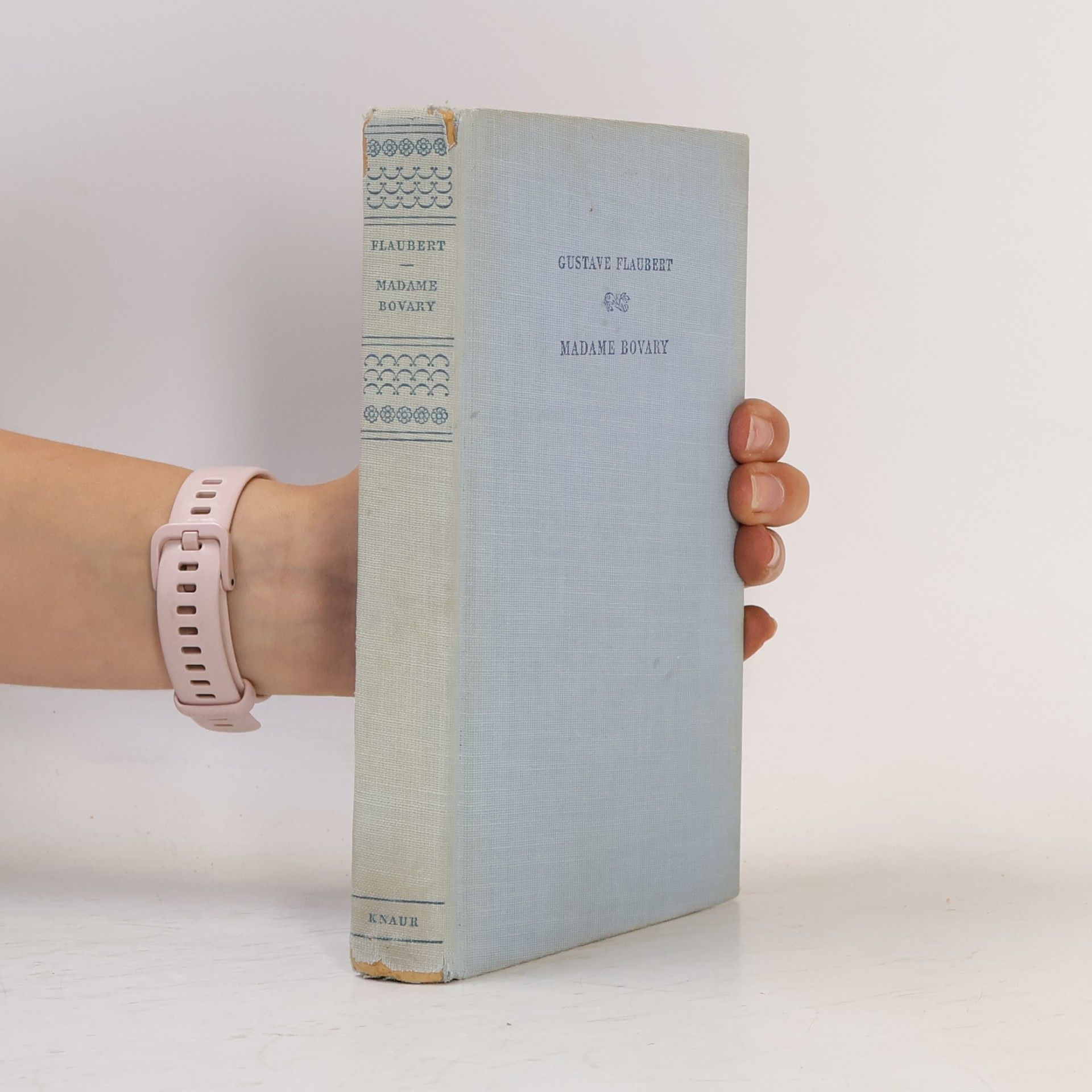 Gustave Flaubert Madame Bovary