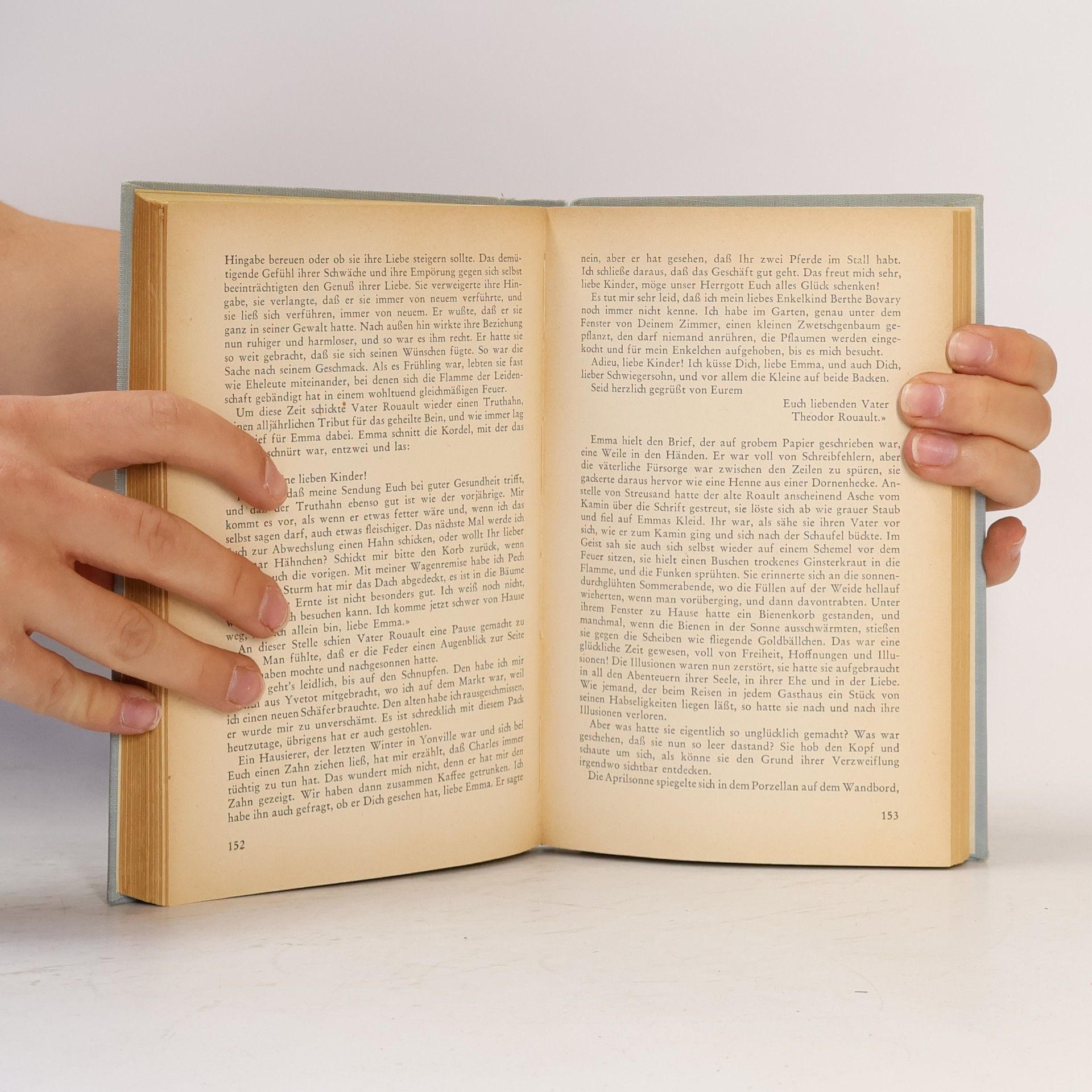 Gustave Flaubert Madame Bovary