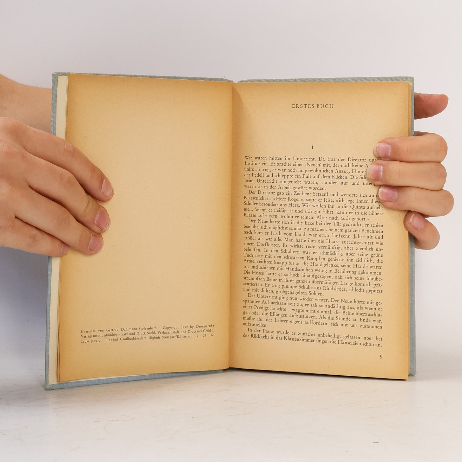 Gustave Flaubert Madame Bovary