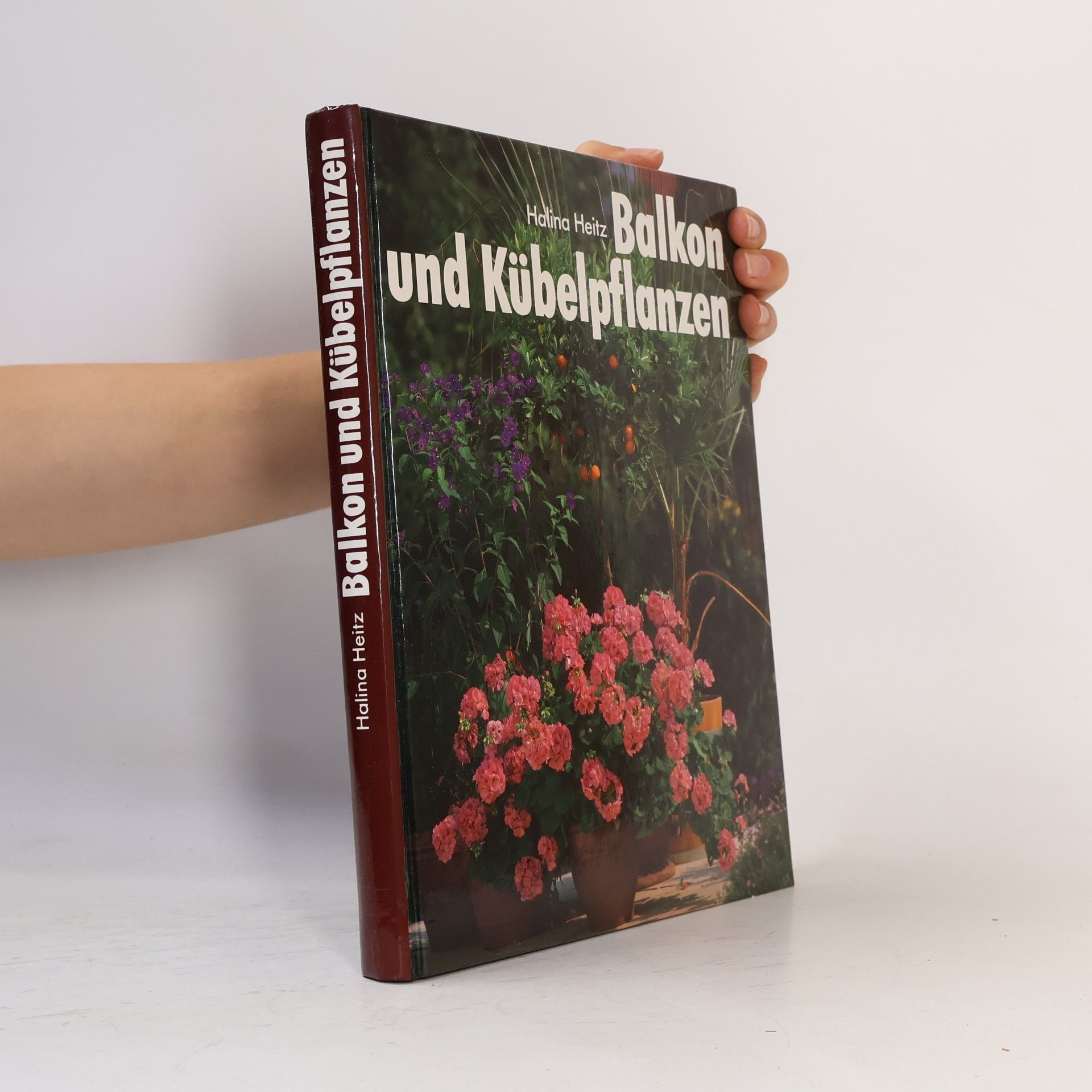 Halina Heitz Balkon und Kübelpflanzen