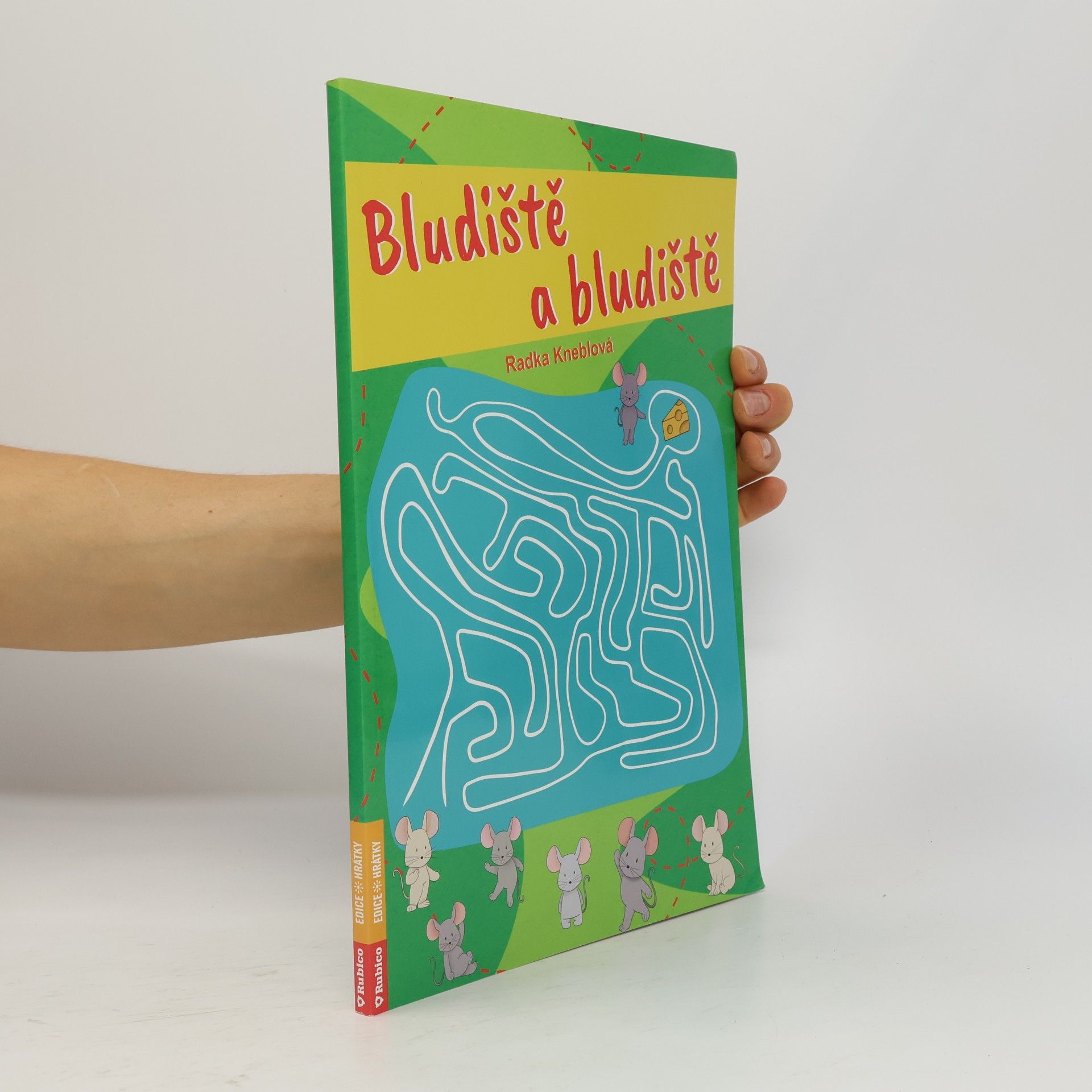 Radka Kneblová Bludiště a bludiště