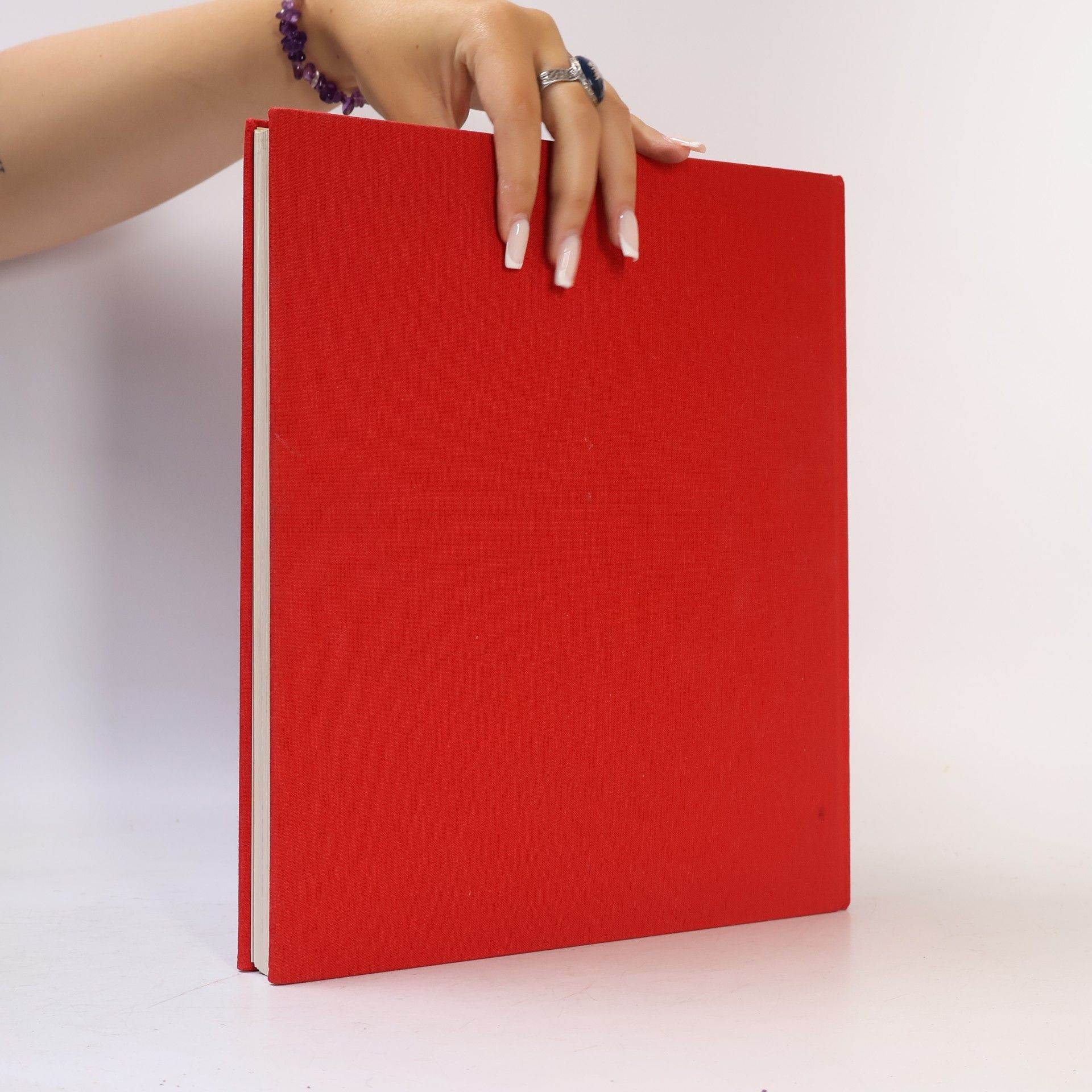 Alice B. Toklasová Das Alice-B.-Toklas-Kochbuch