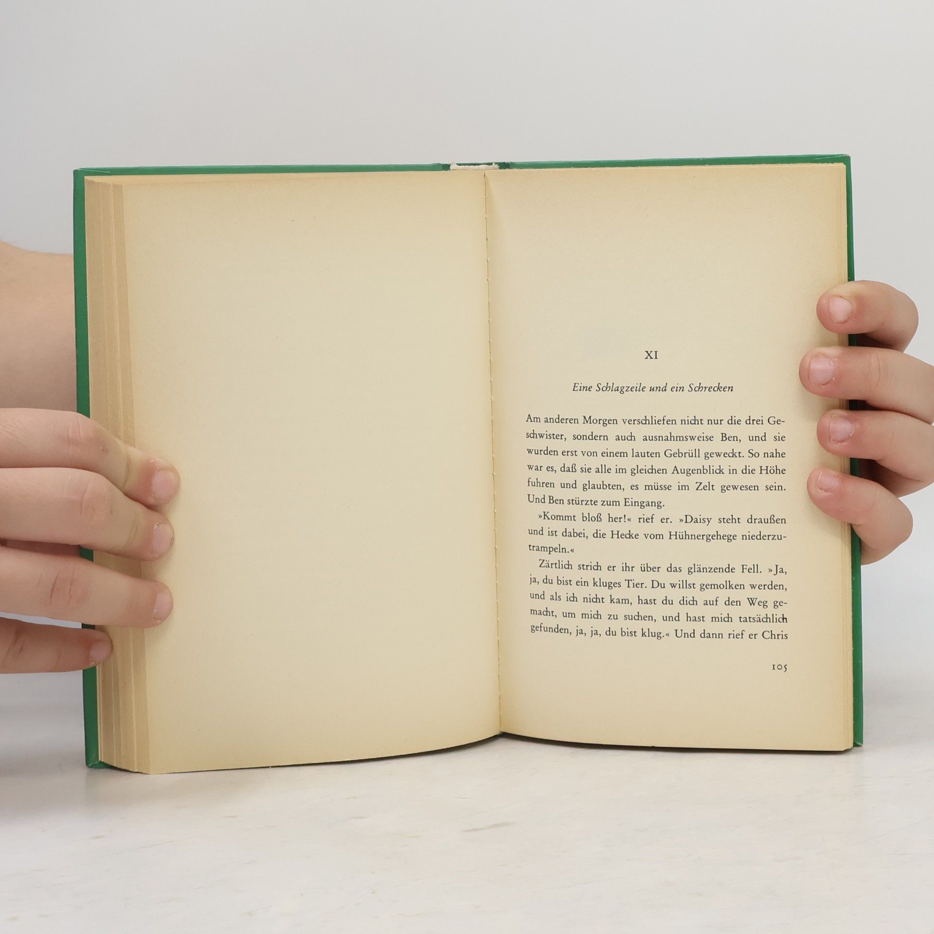Enid Blyton Die verwegenen Vier reißen aus