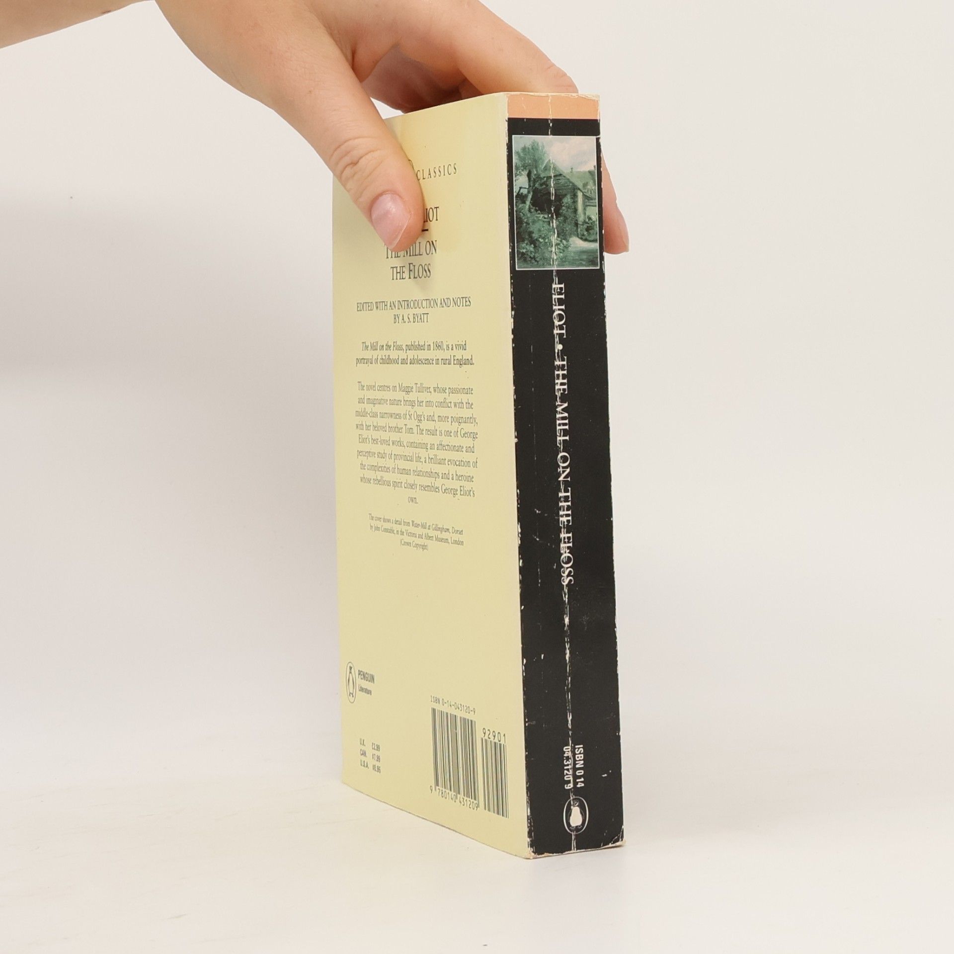 George Eliot The Mill on the Floss