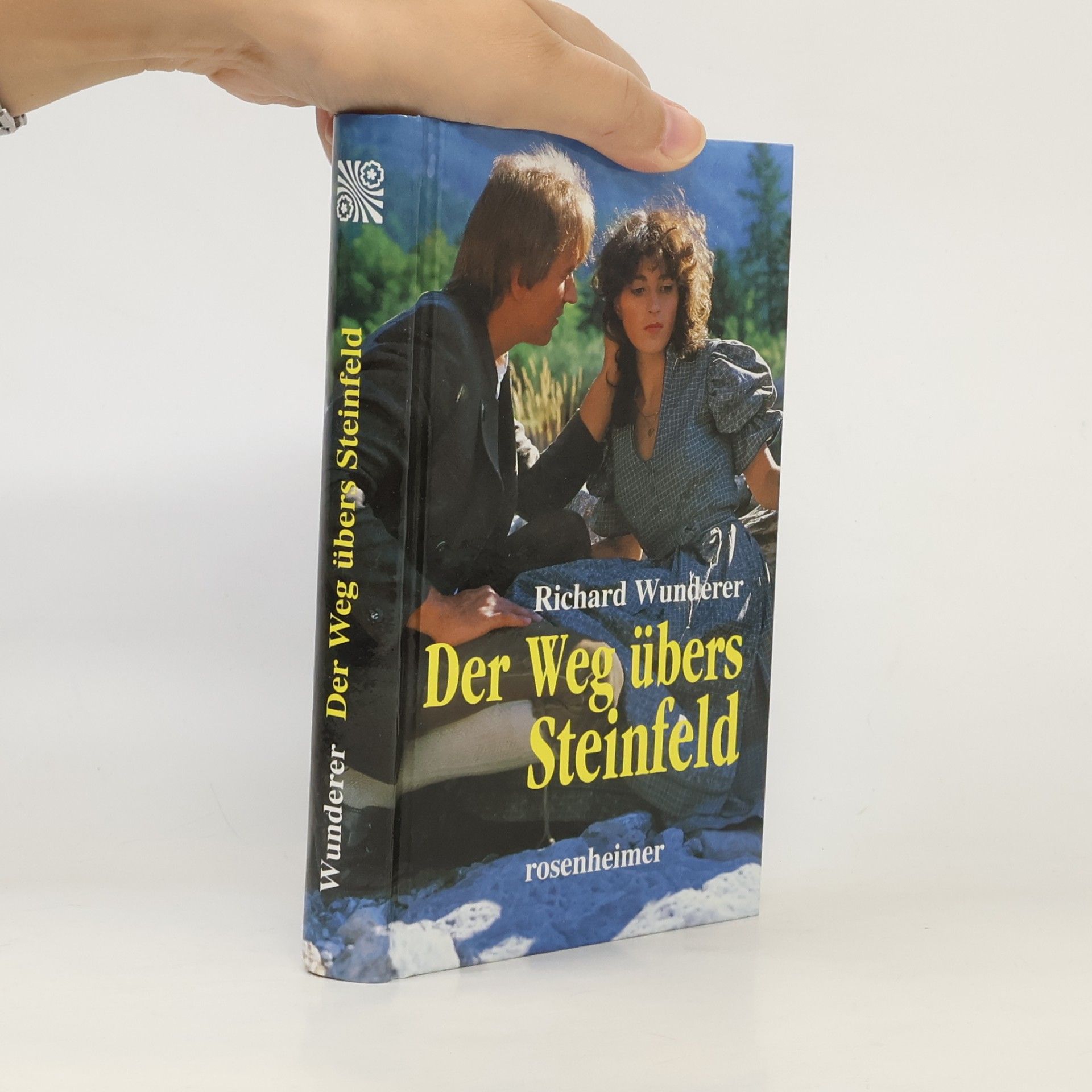 Der Weg übers Steinfeld