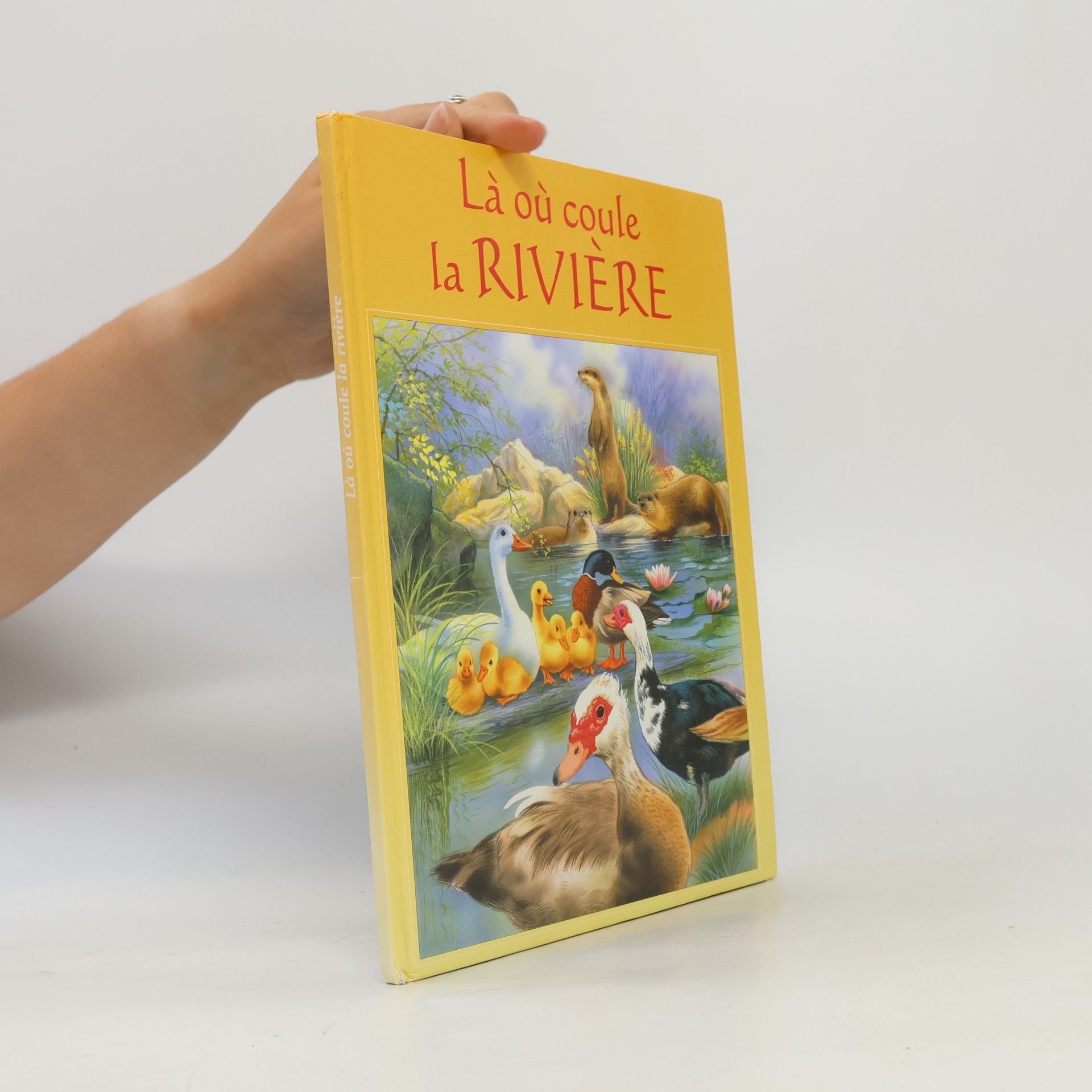 Là où coule la rivière